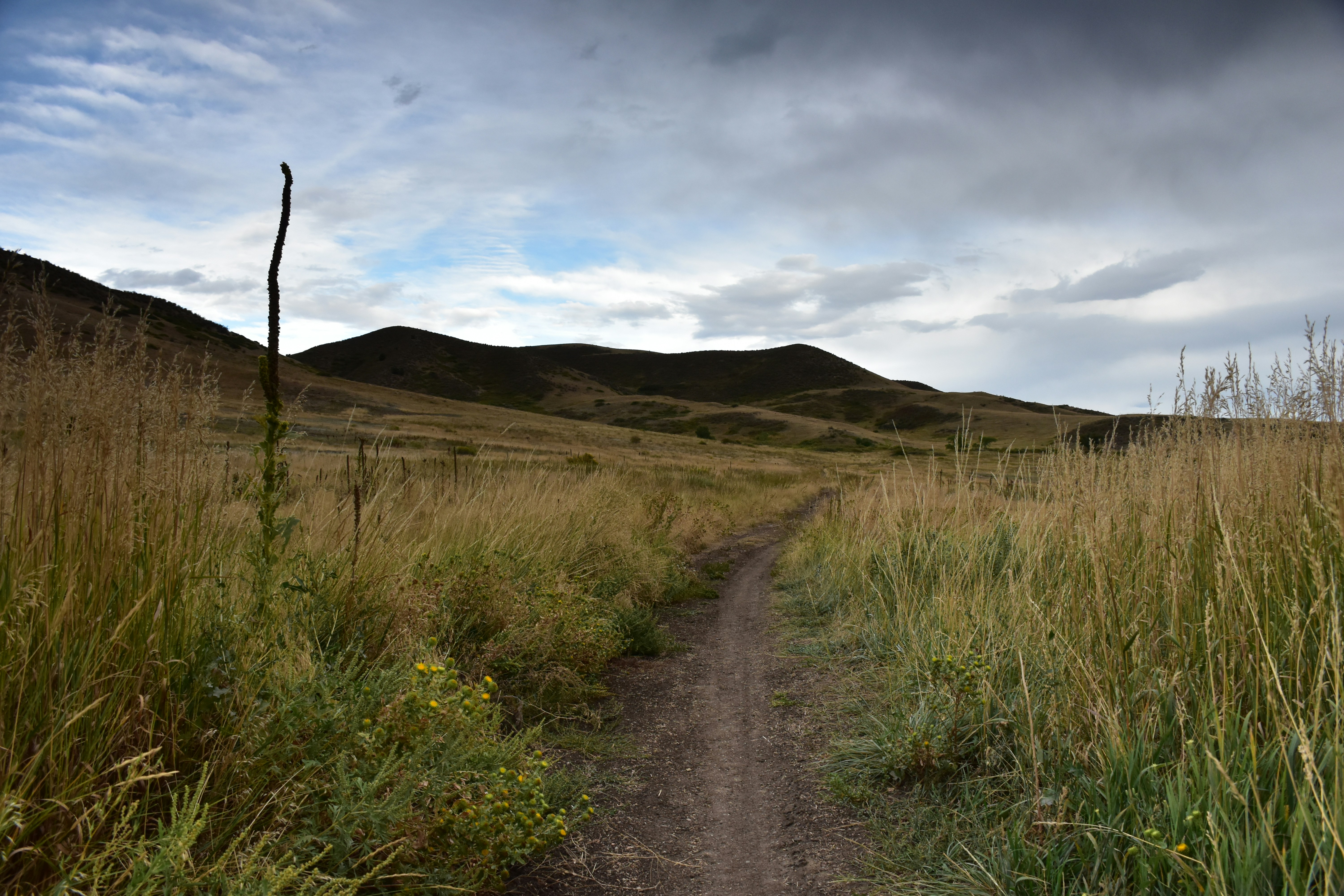A dirt path leads through tall grass toward hills.