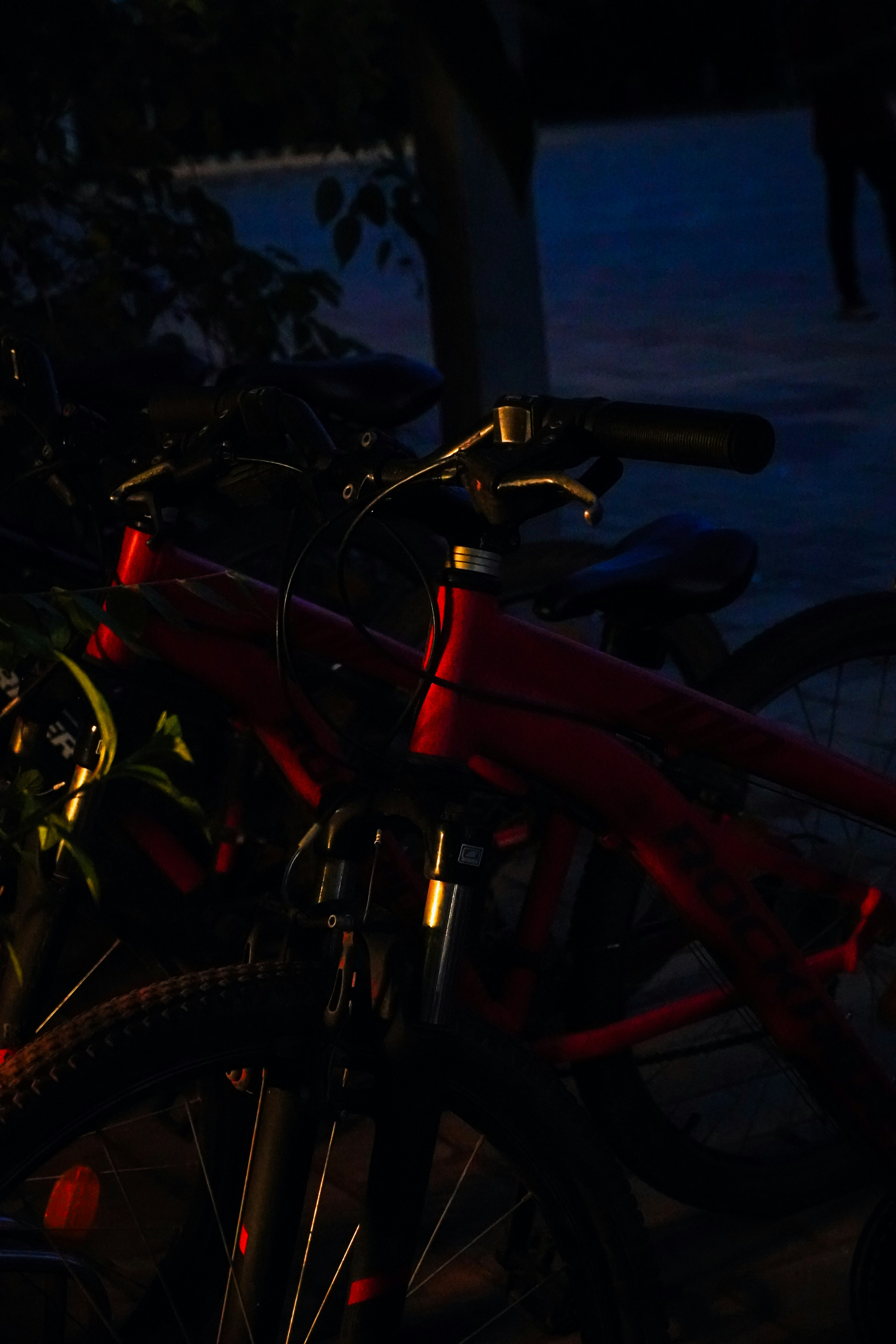 Photo by adhitya_2505