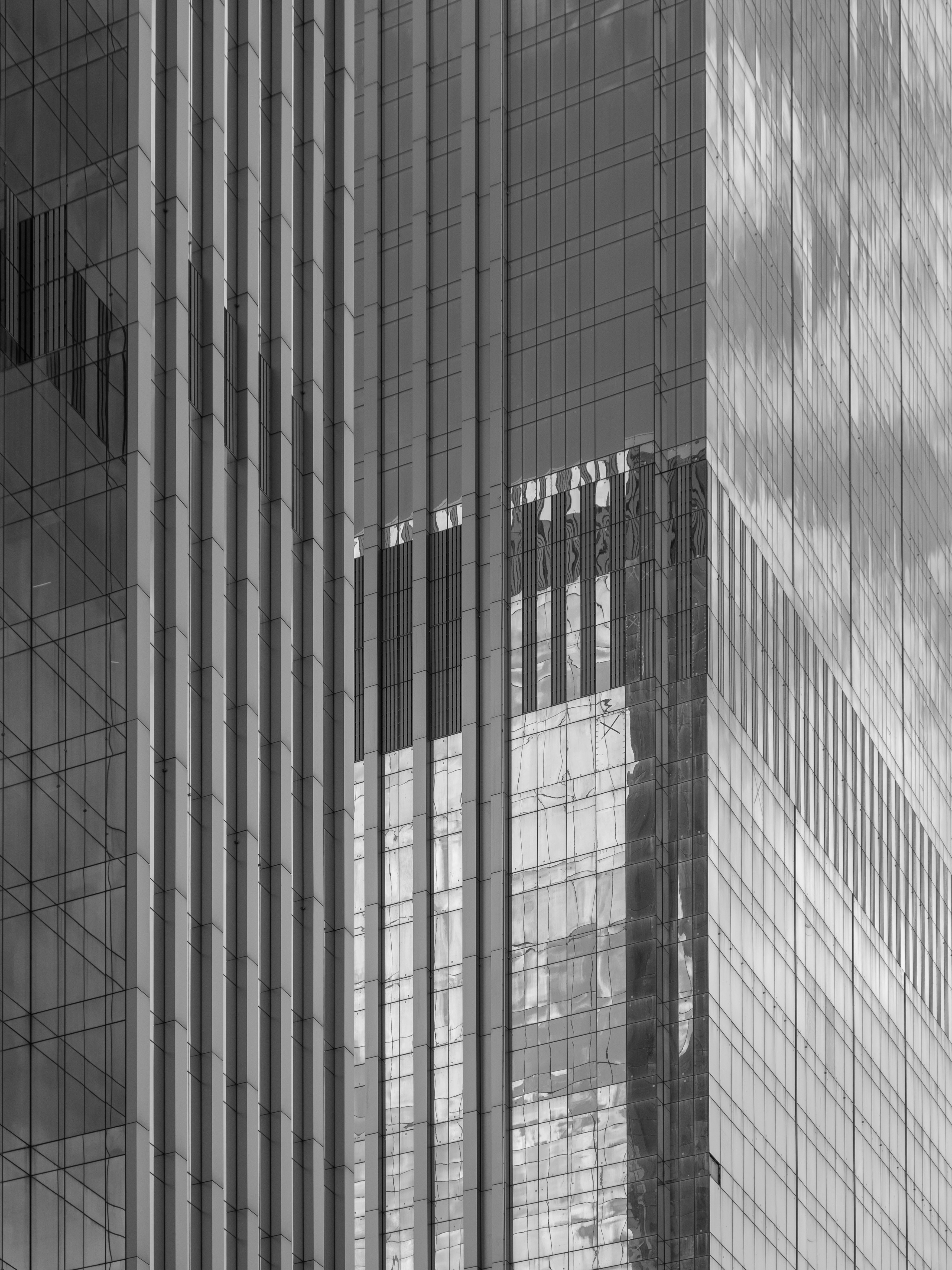 Photo by roman_kreider