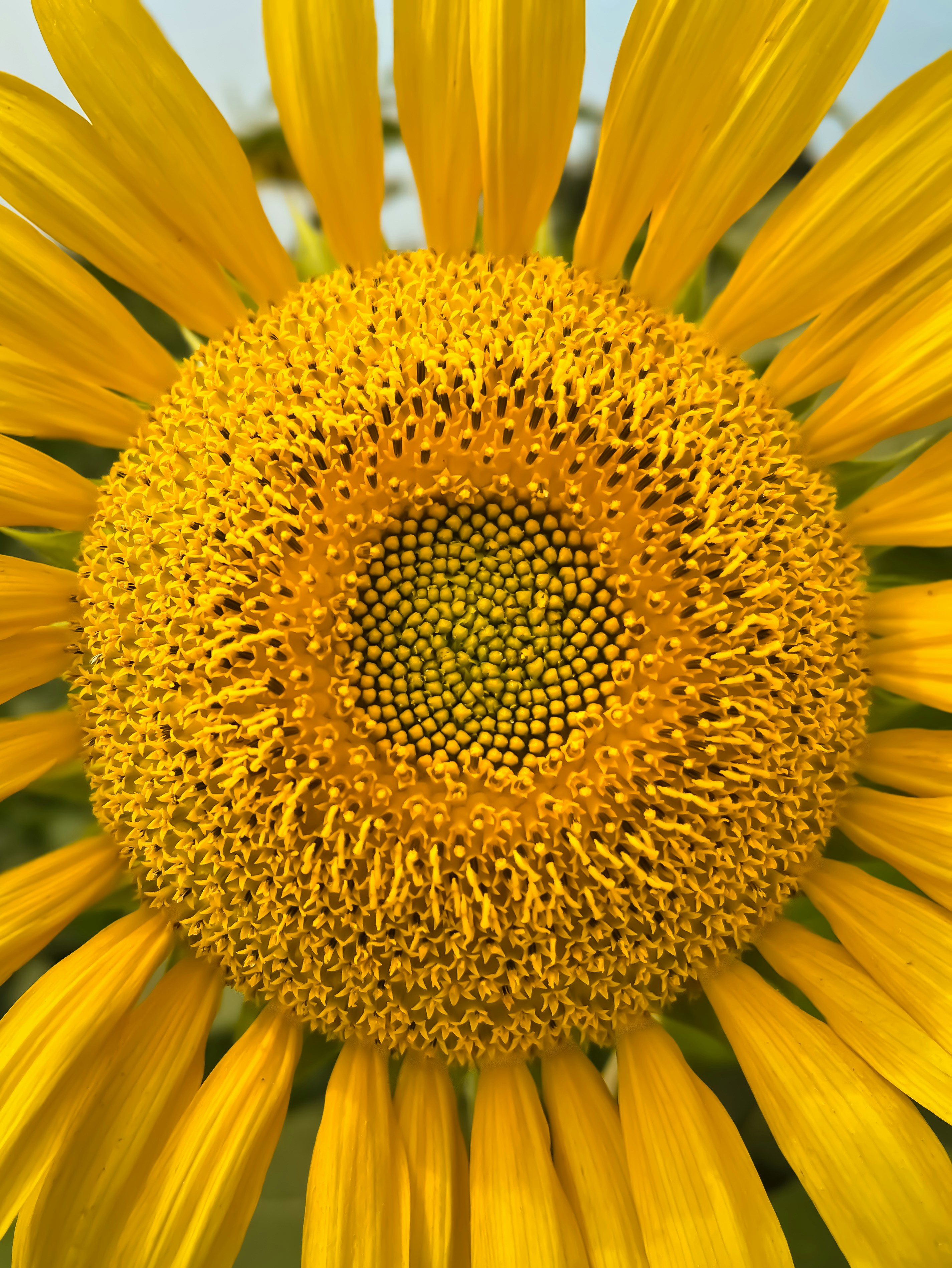 Photo by pocketlensdiaries