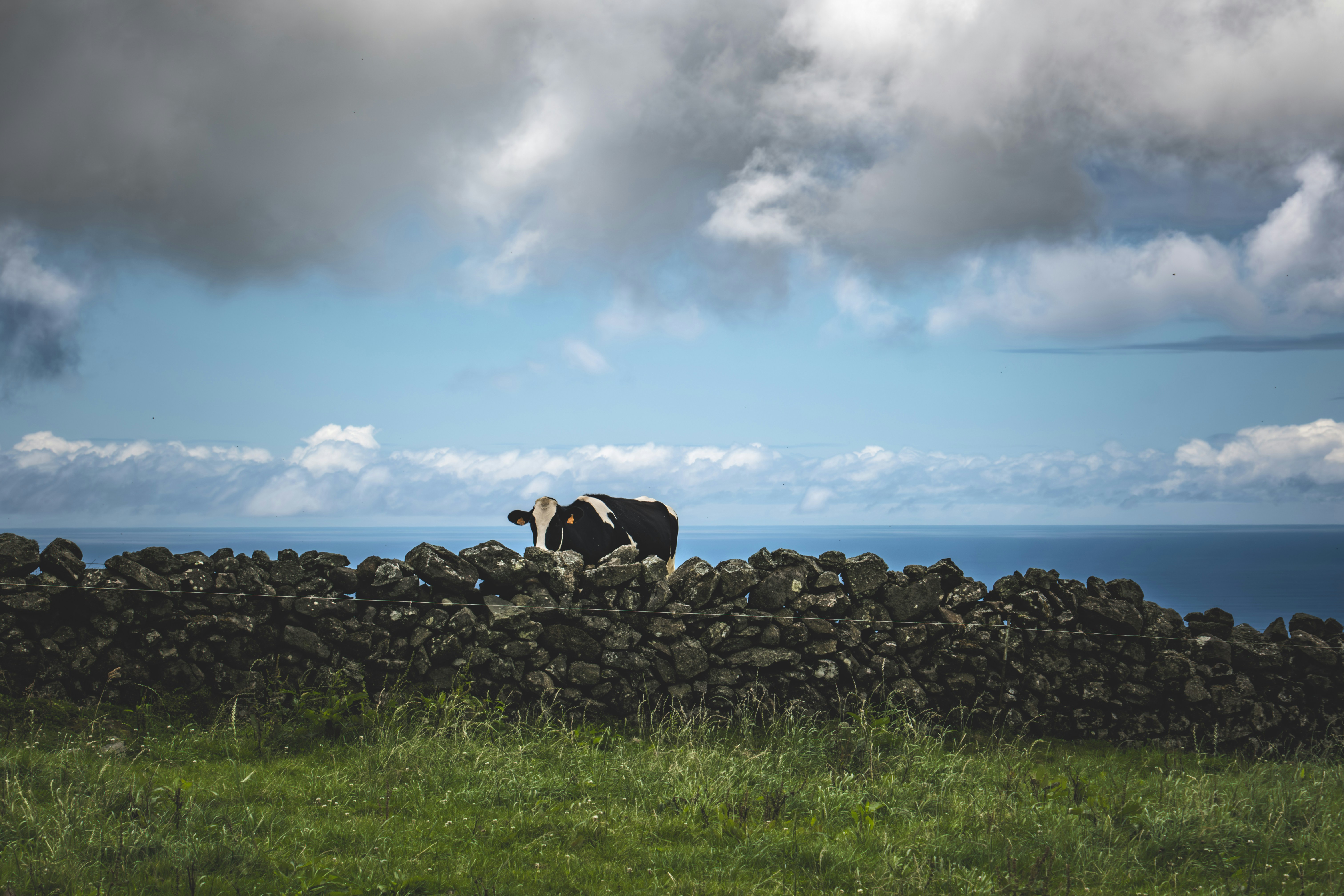 Photo by francesco_ungaro