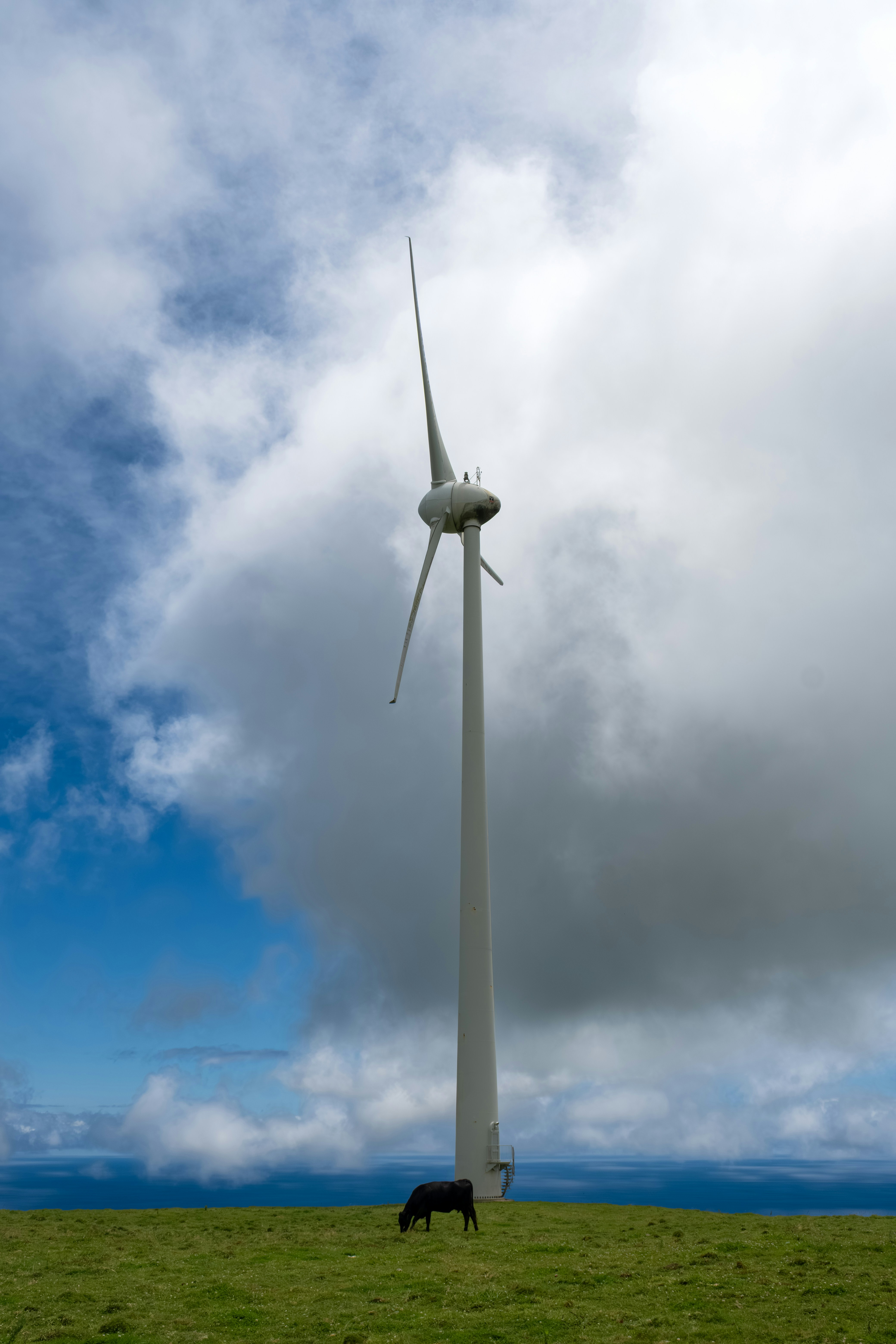 Photo by francesco_ungaro