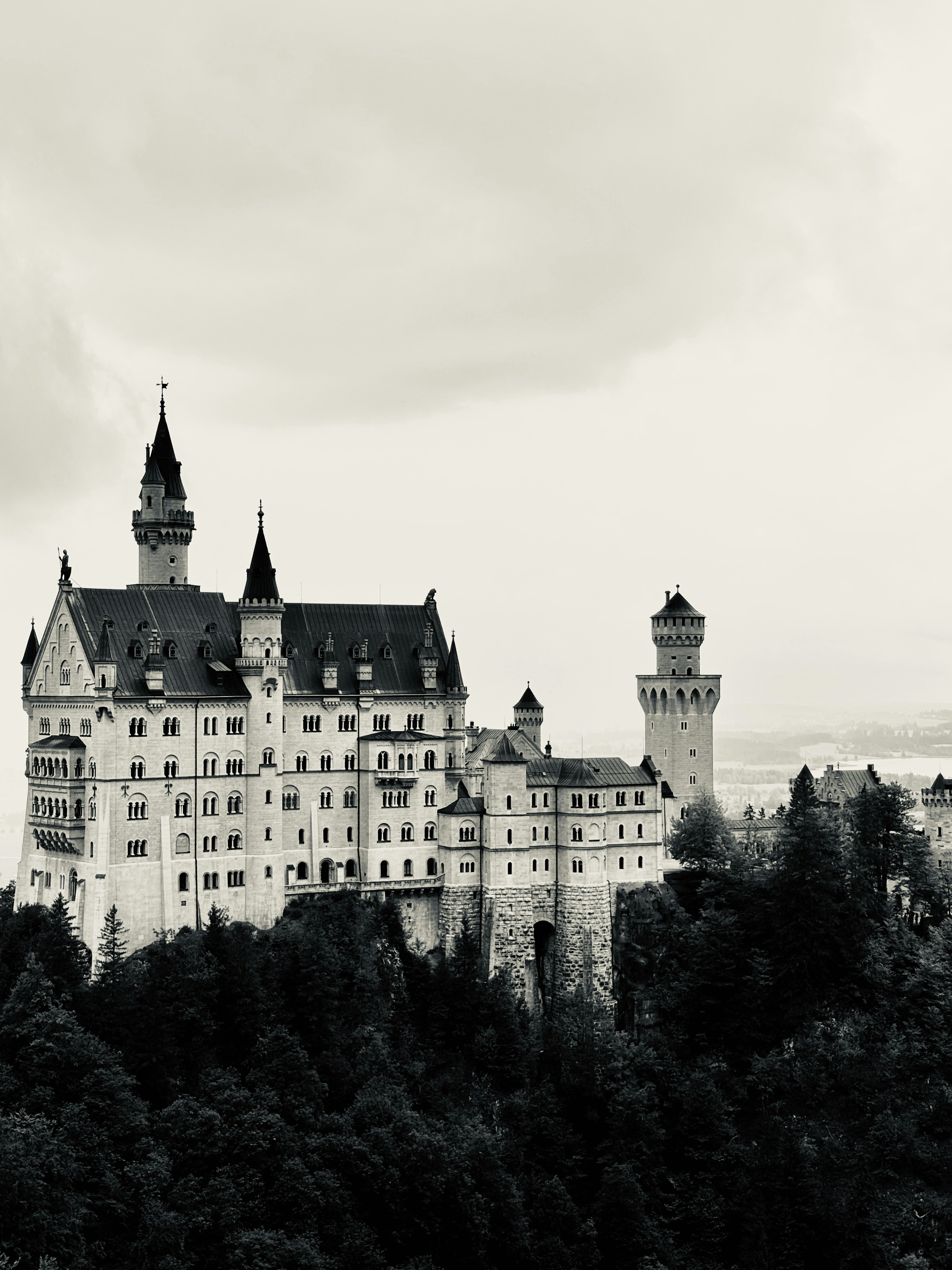 Photo by hiromasa_koga