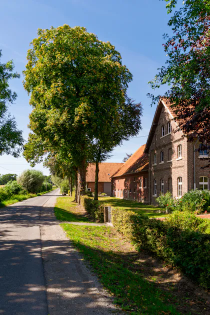 Farmhouses along a tree-lined country lane