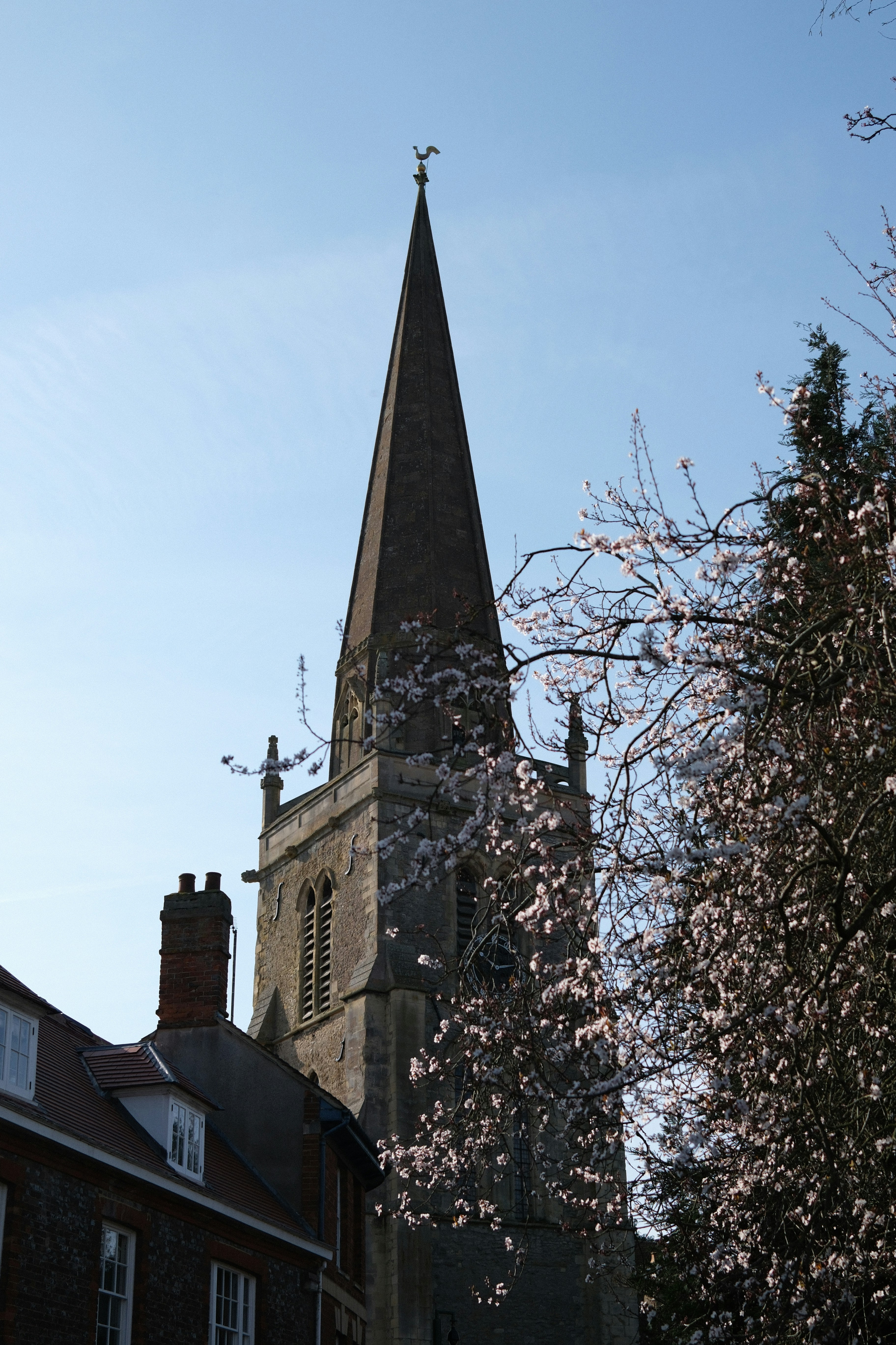 Photo by swaroop_oruganti