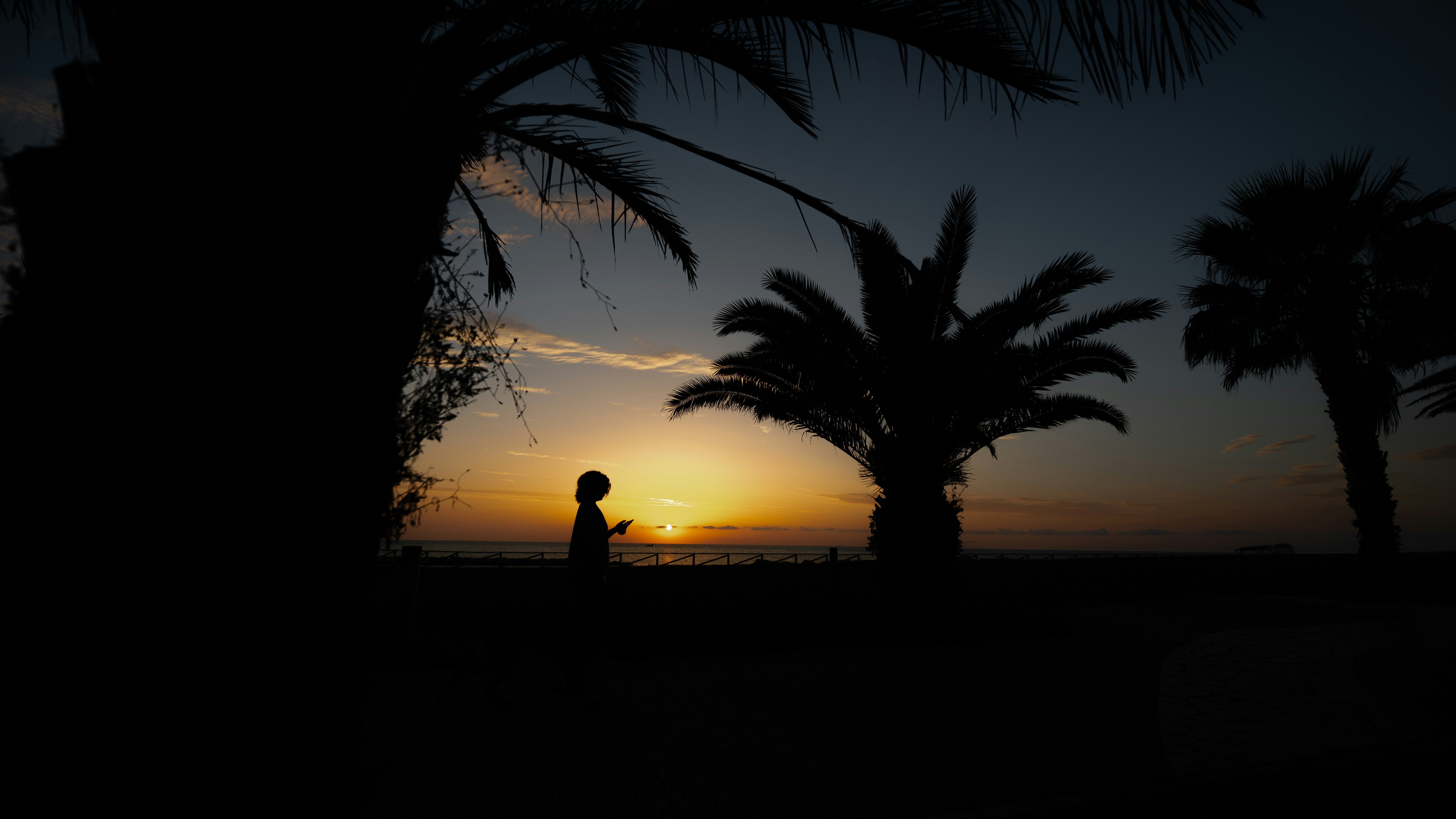 Person relaxing on Hollywood Beach at sunset, subtly implying wellness - THC supplements and oils