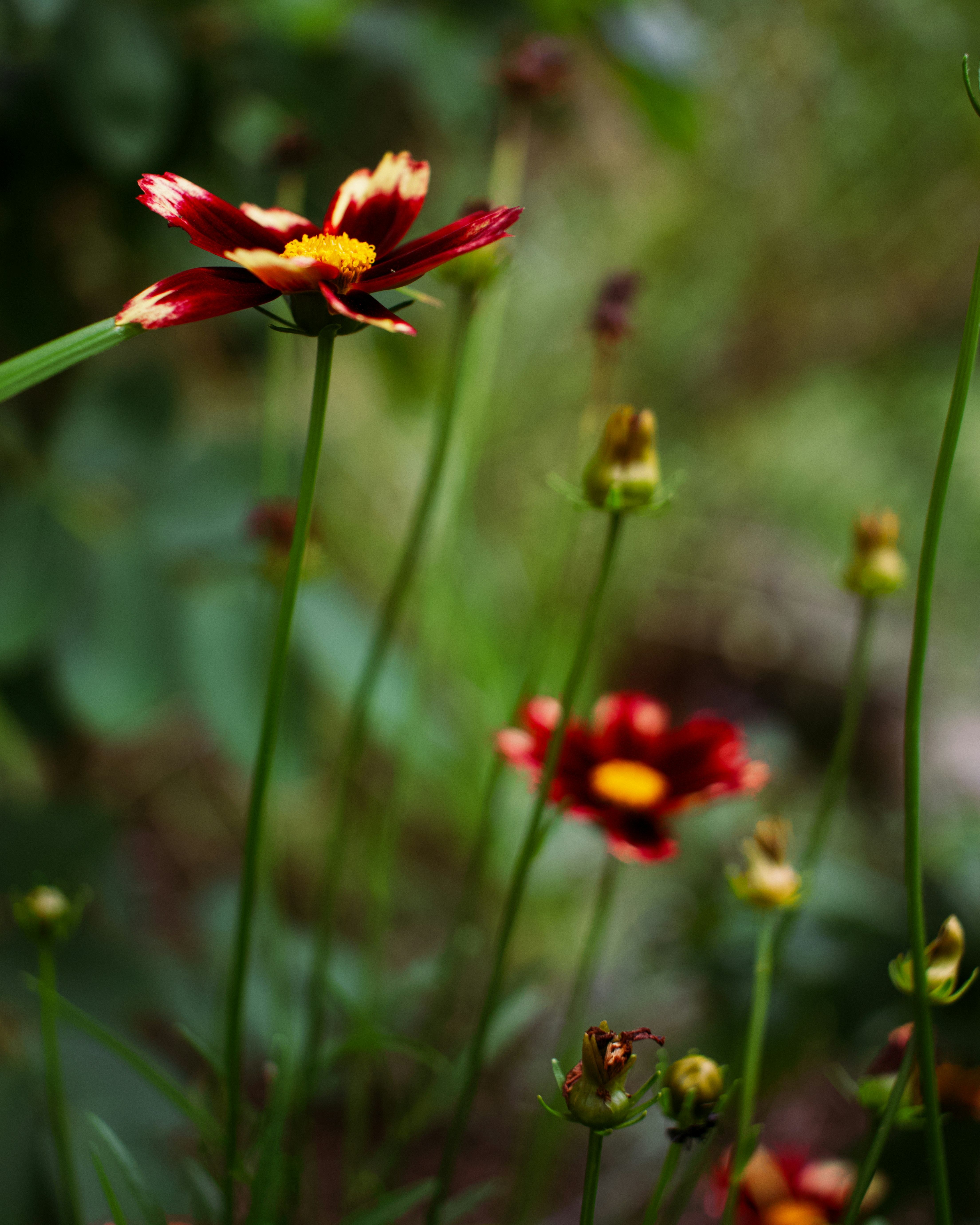 Photo by ljgraham