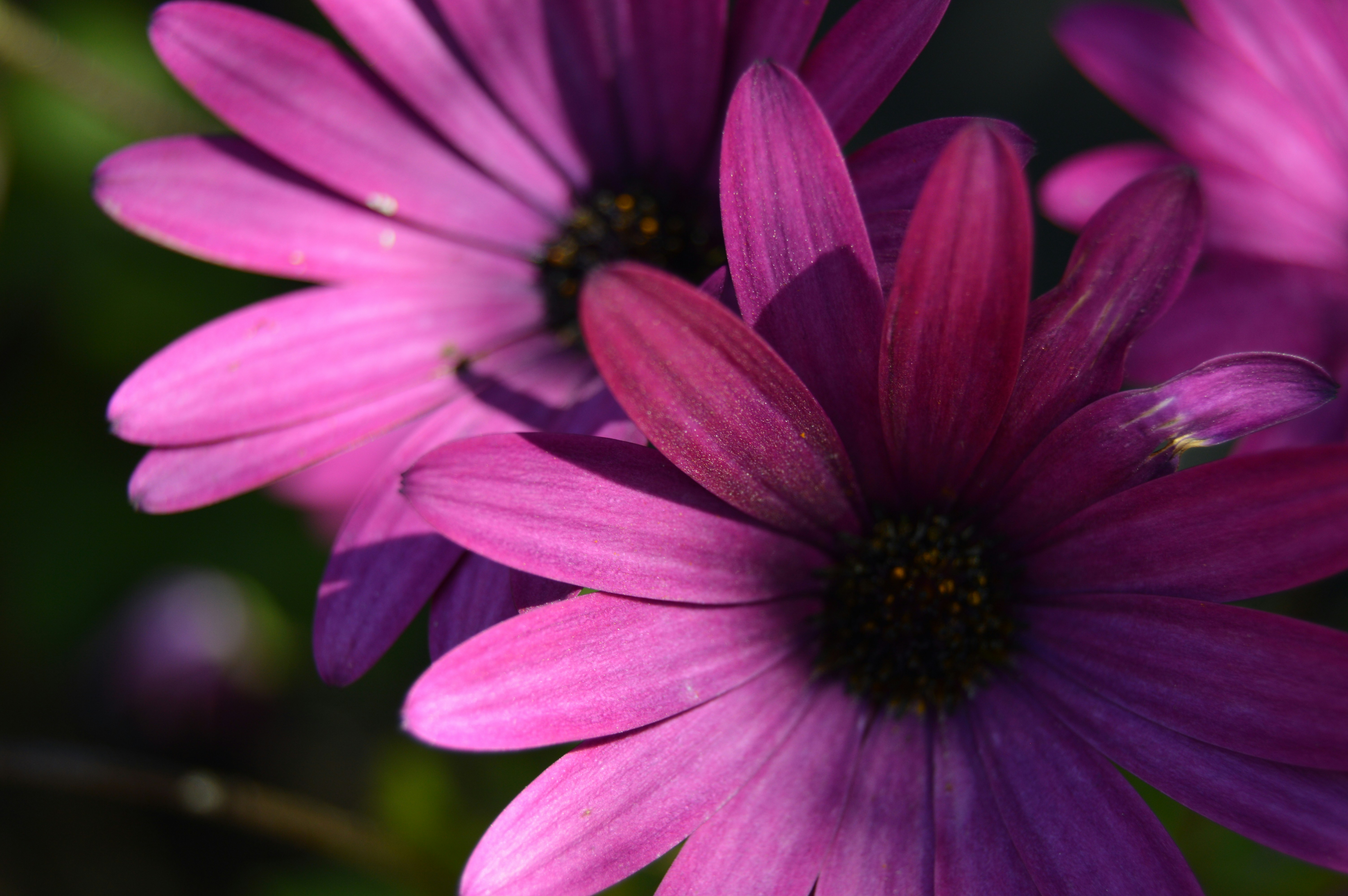 Photo by daniel_rtsn