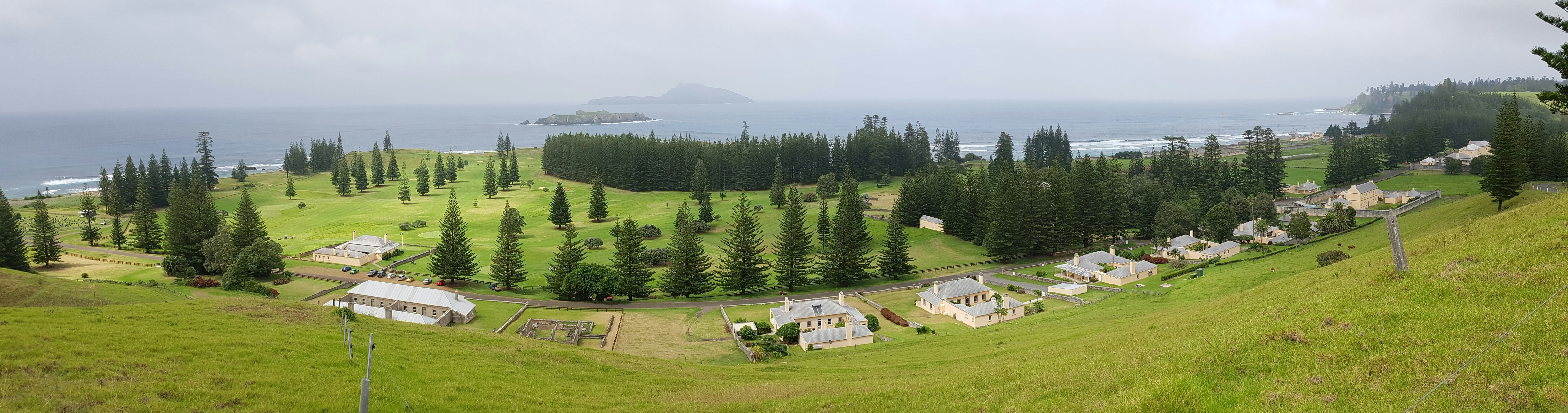 Coastal landscape with scattered houses and pine trees.