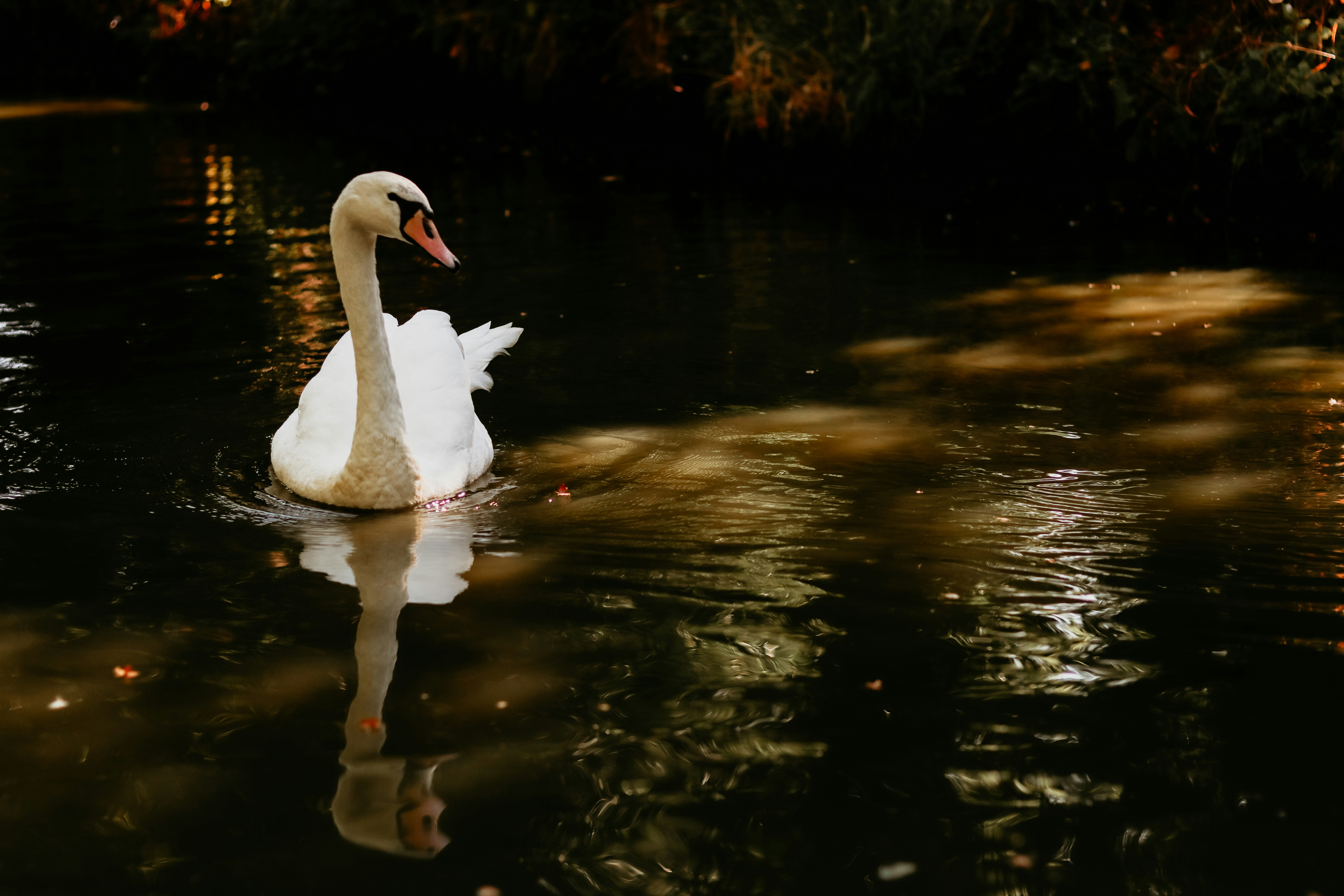 Photo by honeypoppet