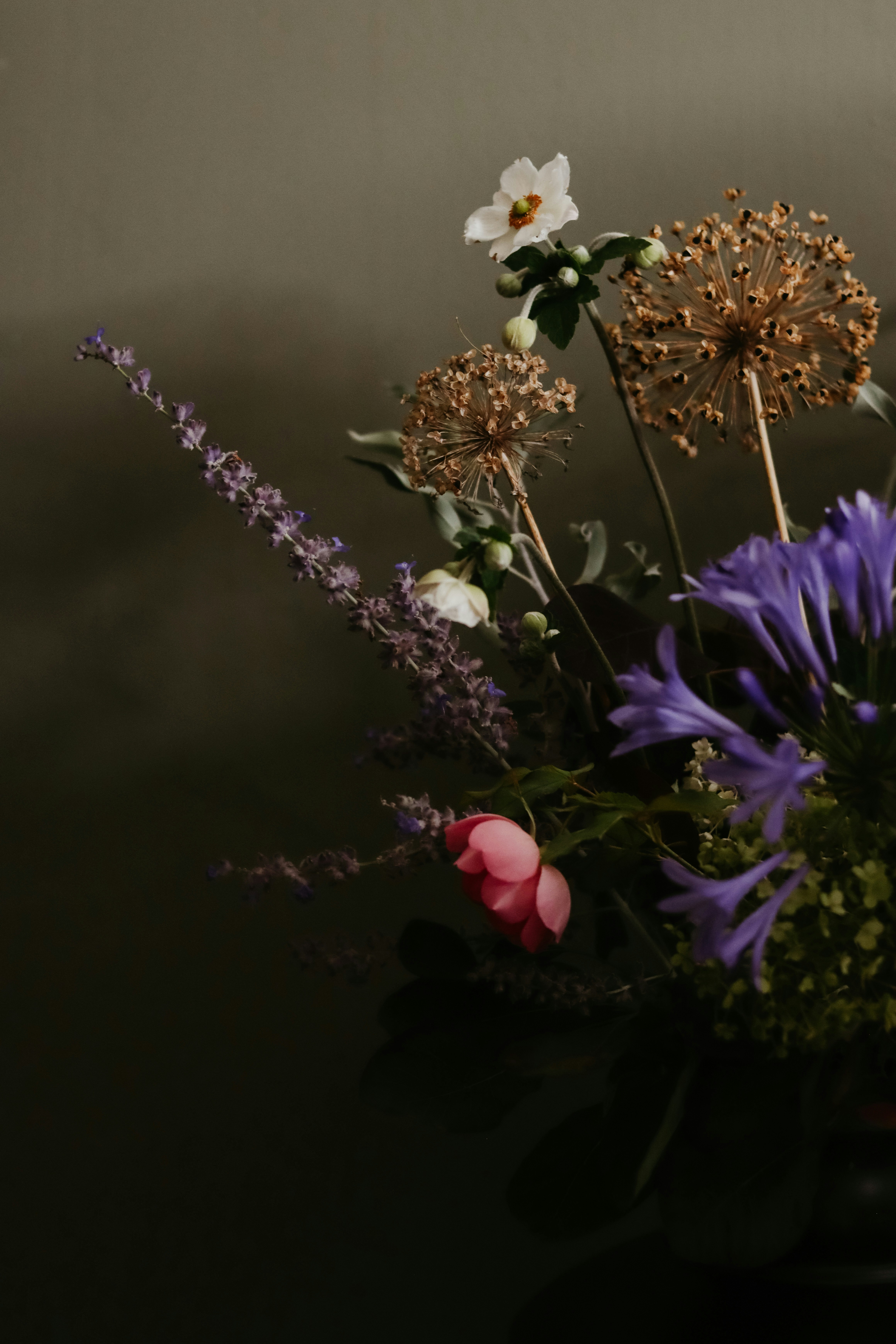 Photo by honeypoppet