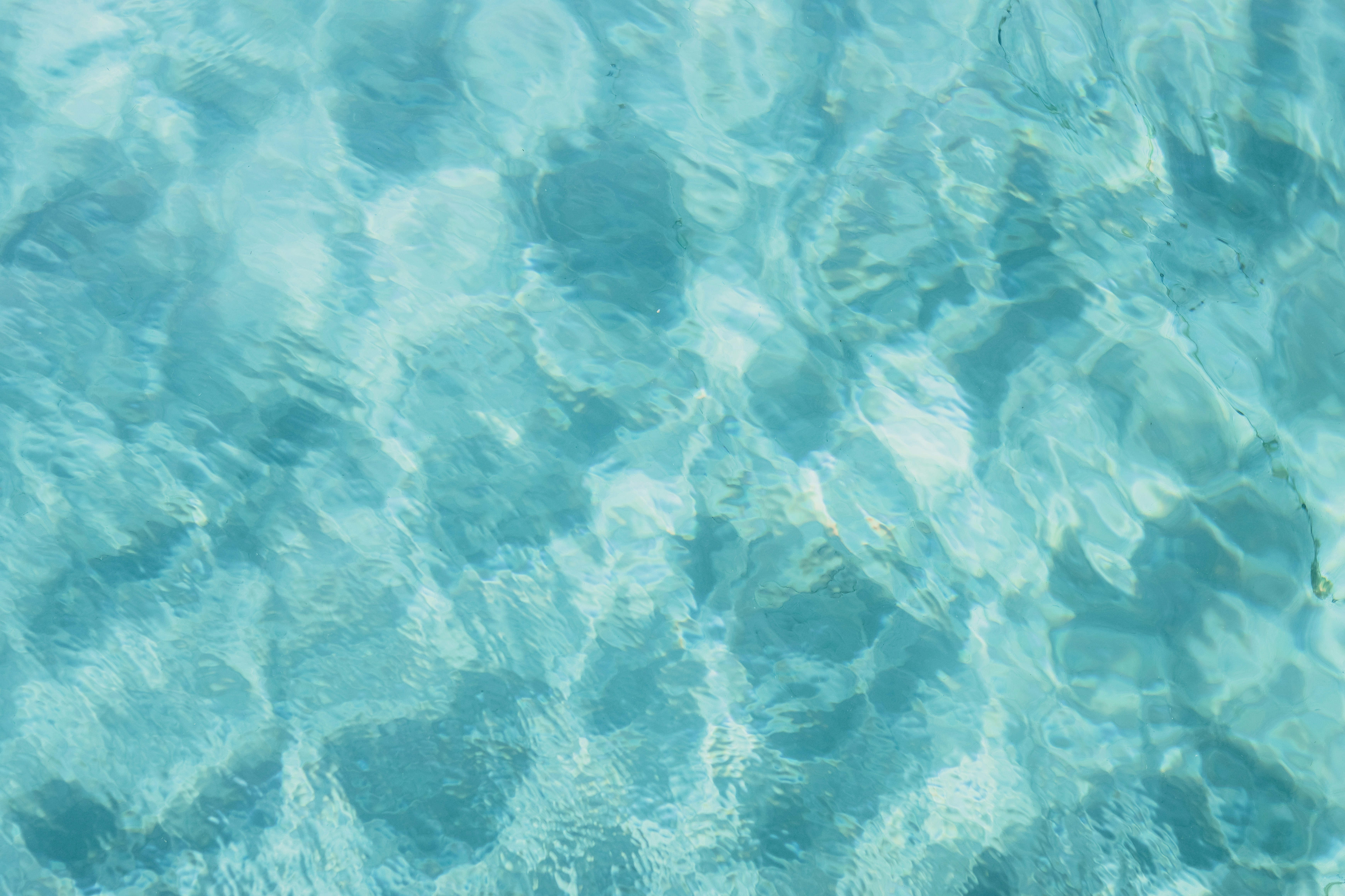 Photo by honeypoppet