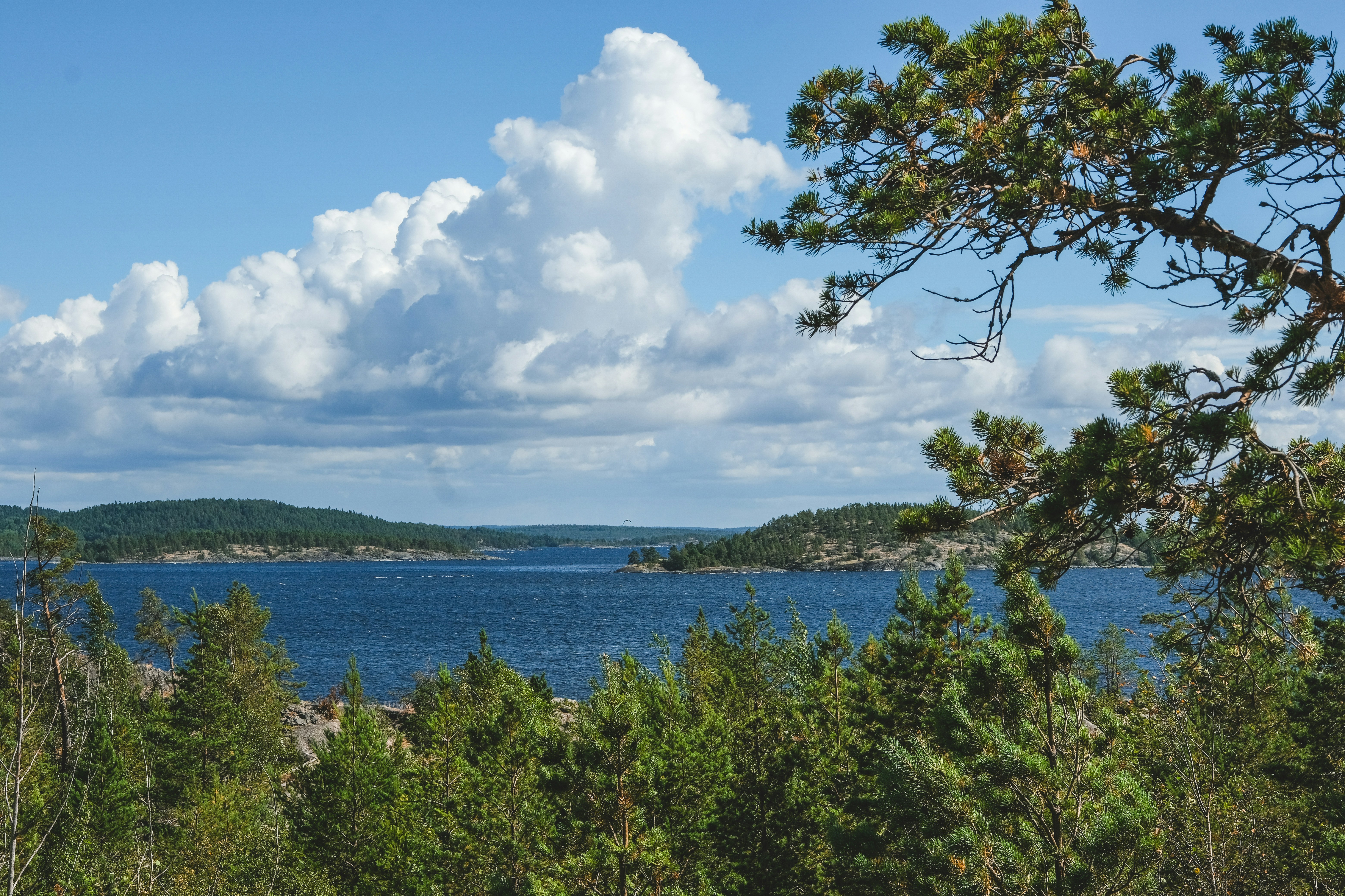 Photo by rolig_basseng