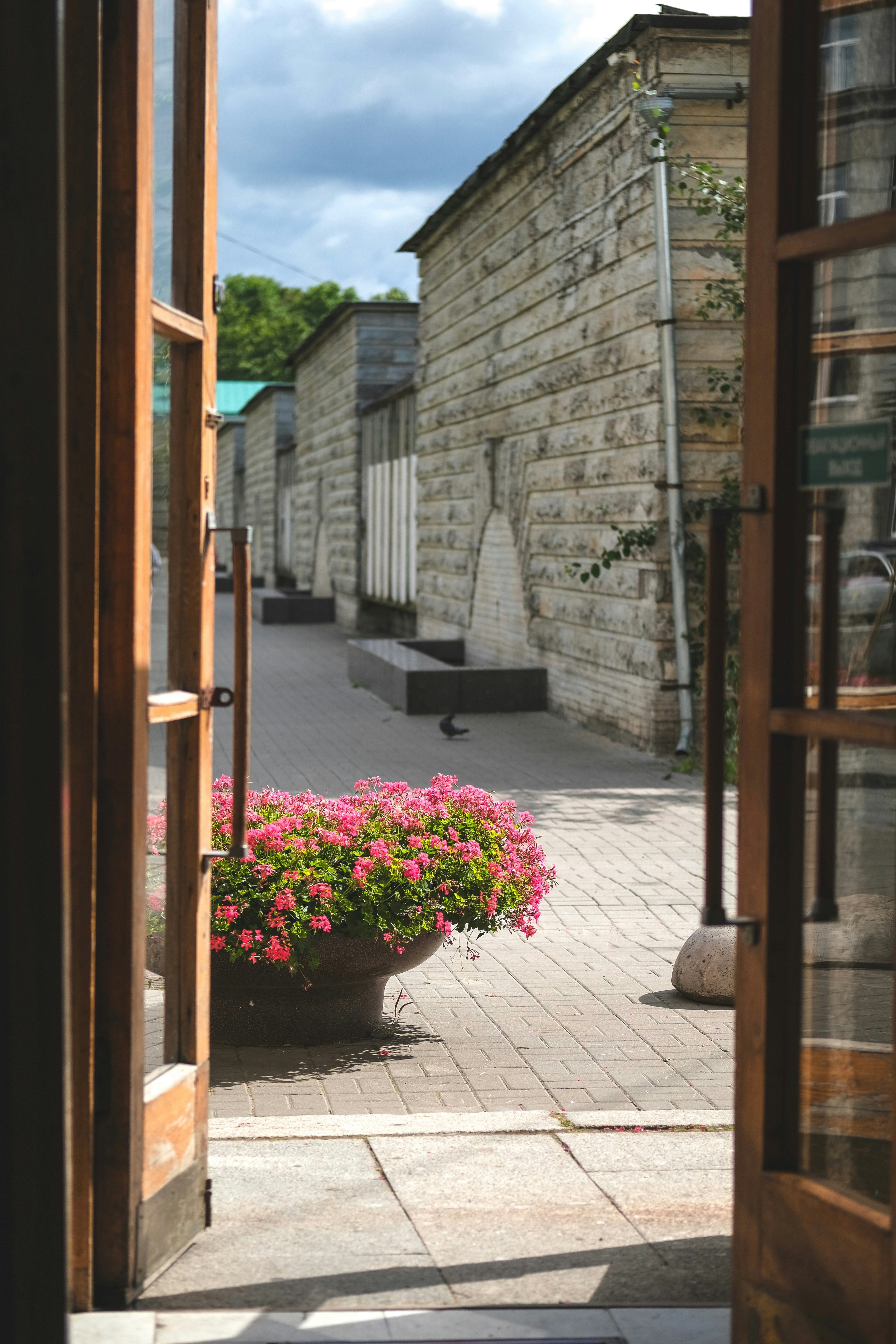 Open doorway reveals courtyard with pink flowers.