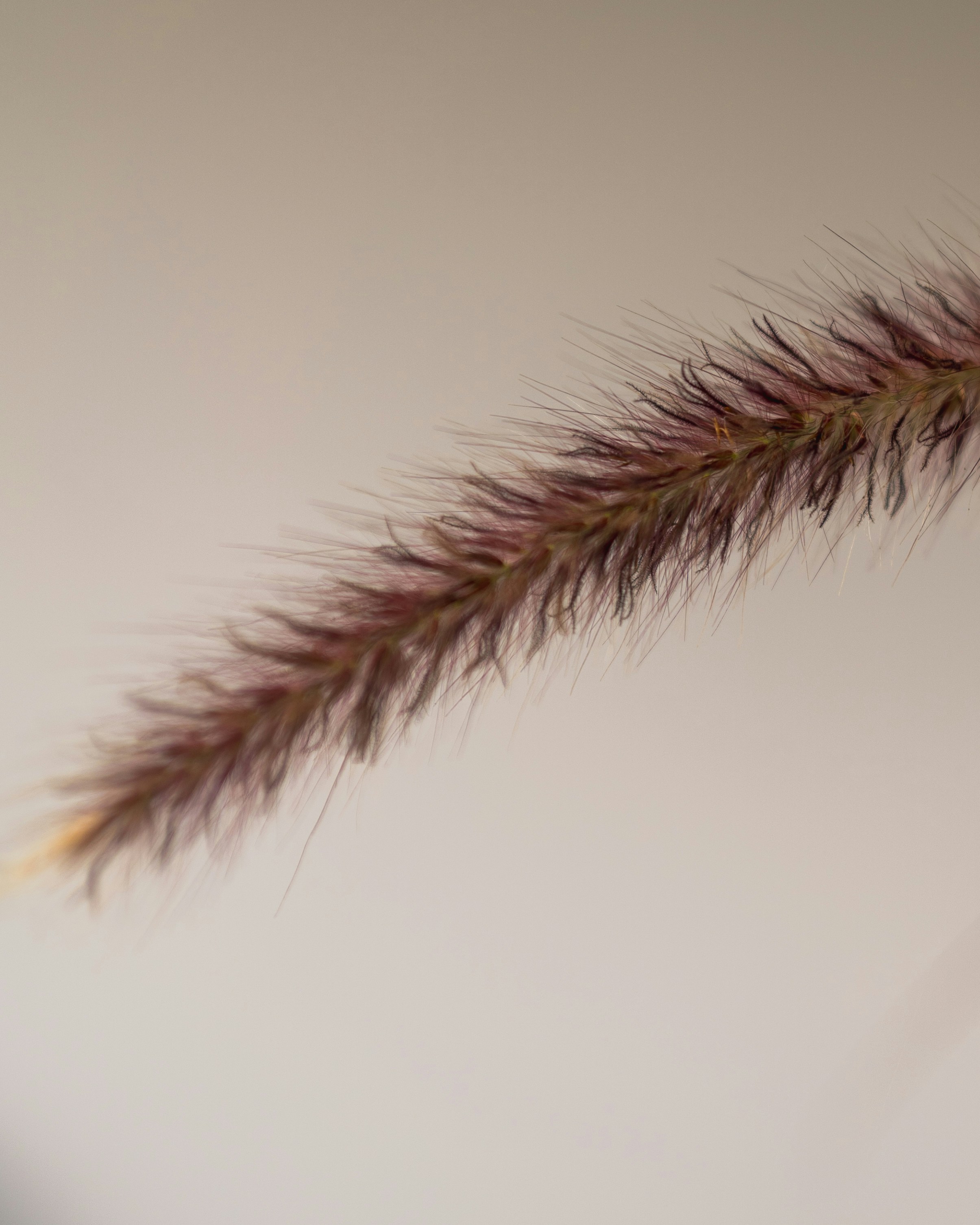 Photo by bangscreative