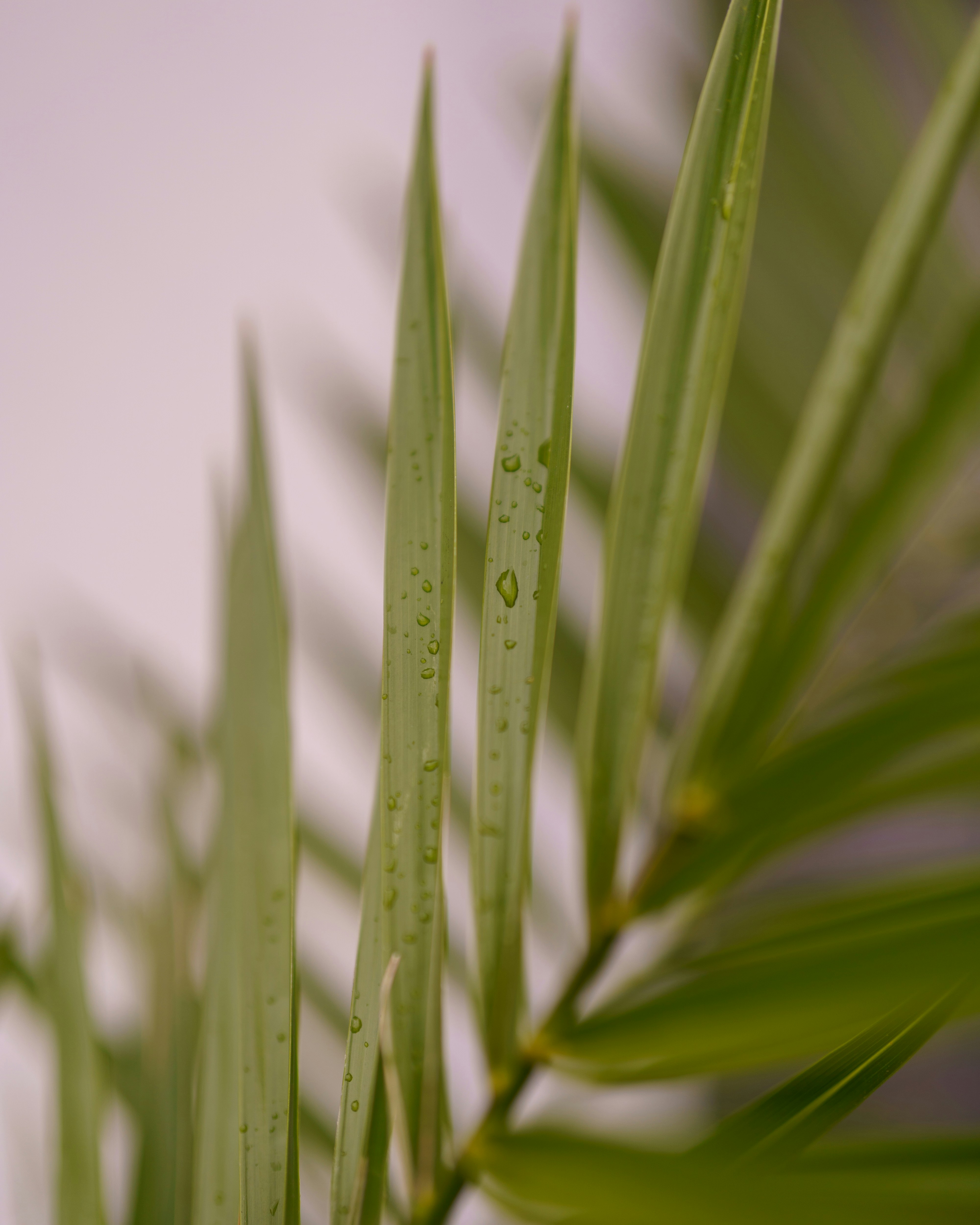 Photo by bangscreative