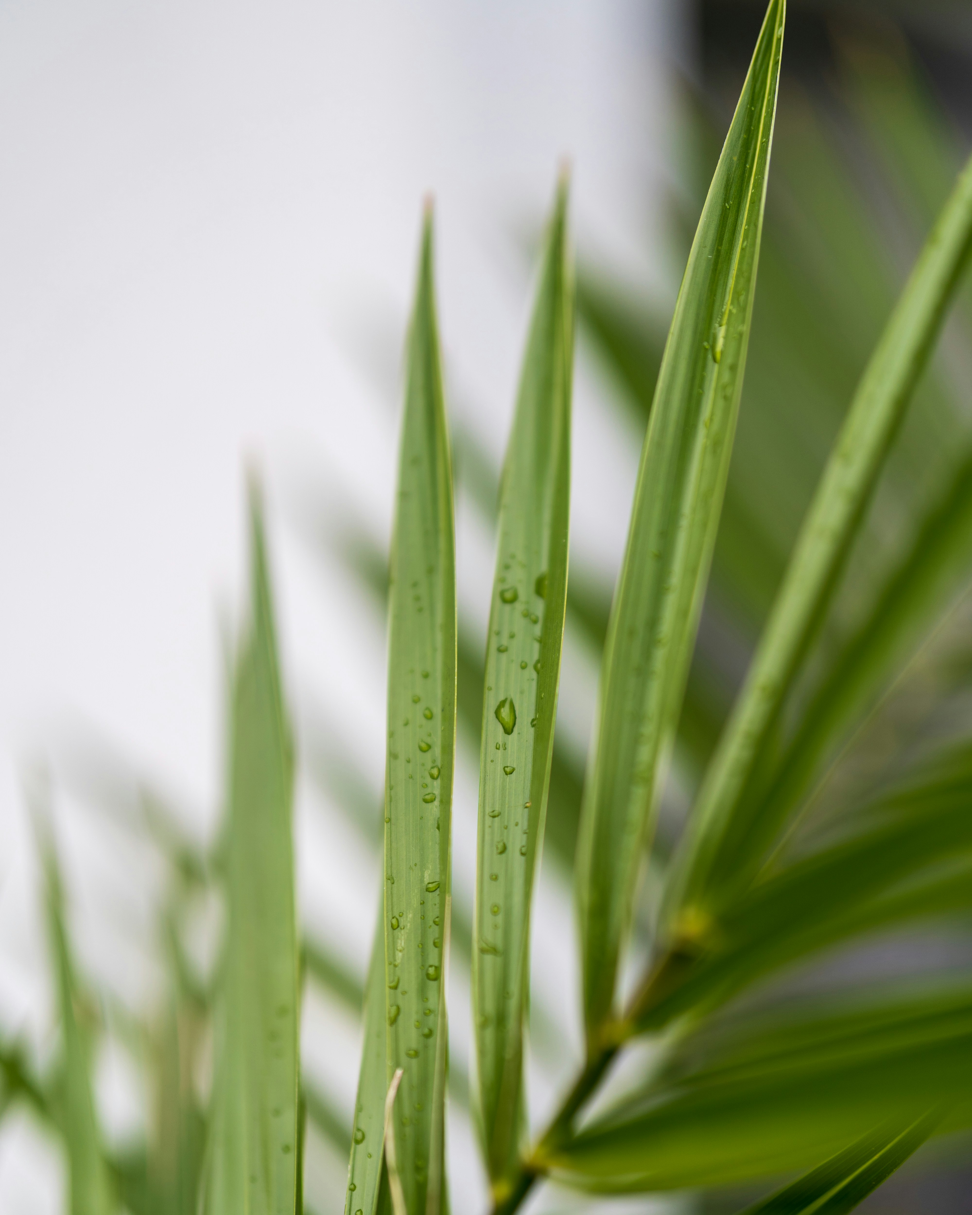 Photo by bangscreative