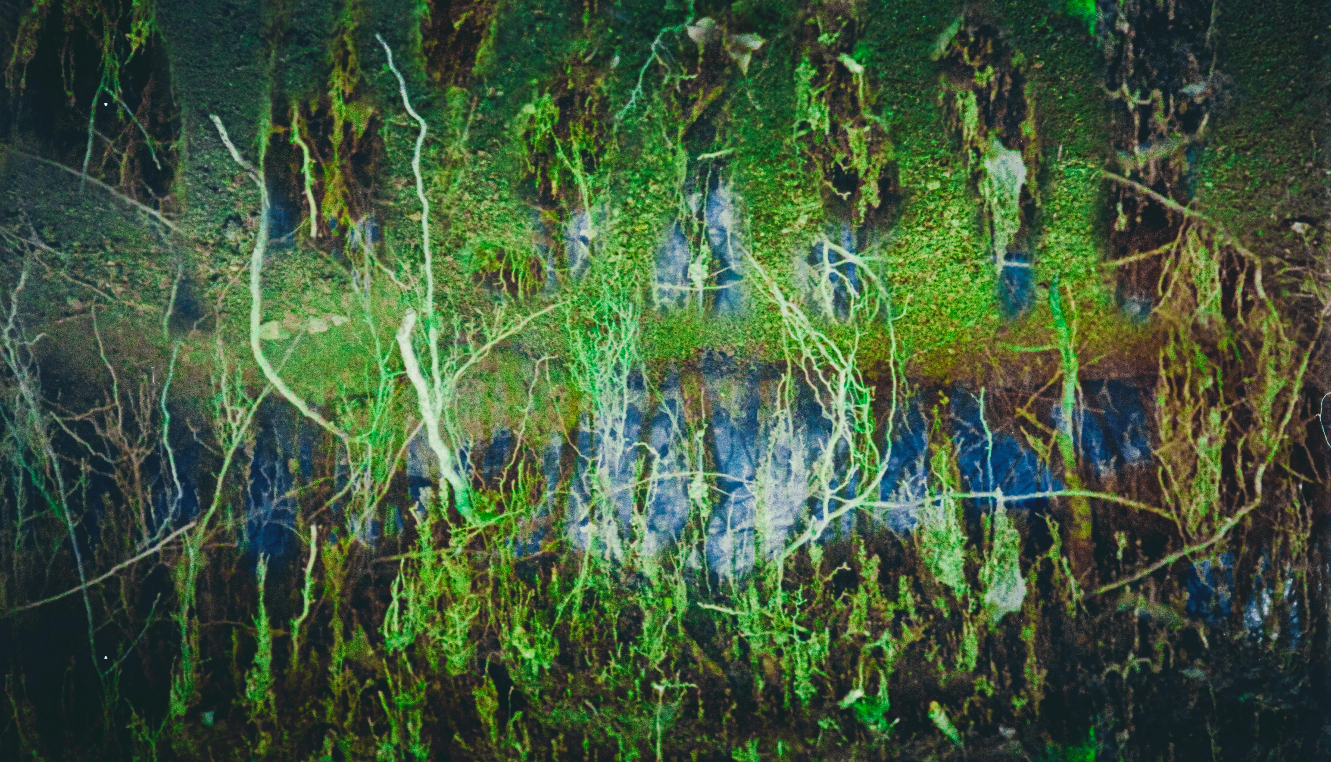 Textures organiques abstraites vertes et bleues avec des racines