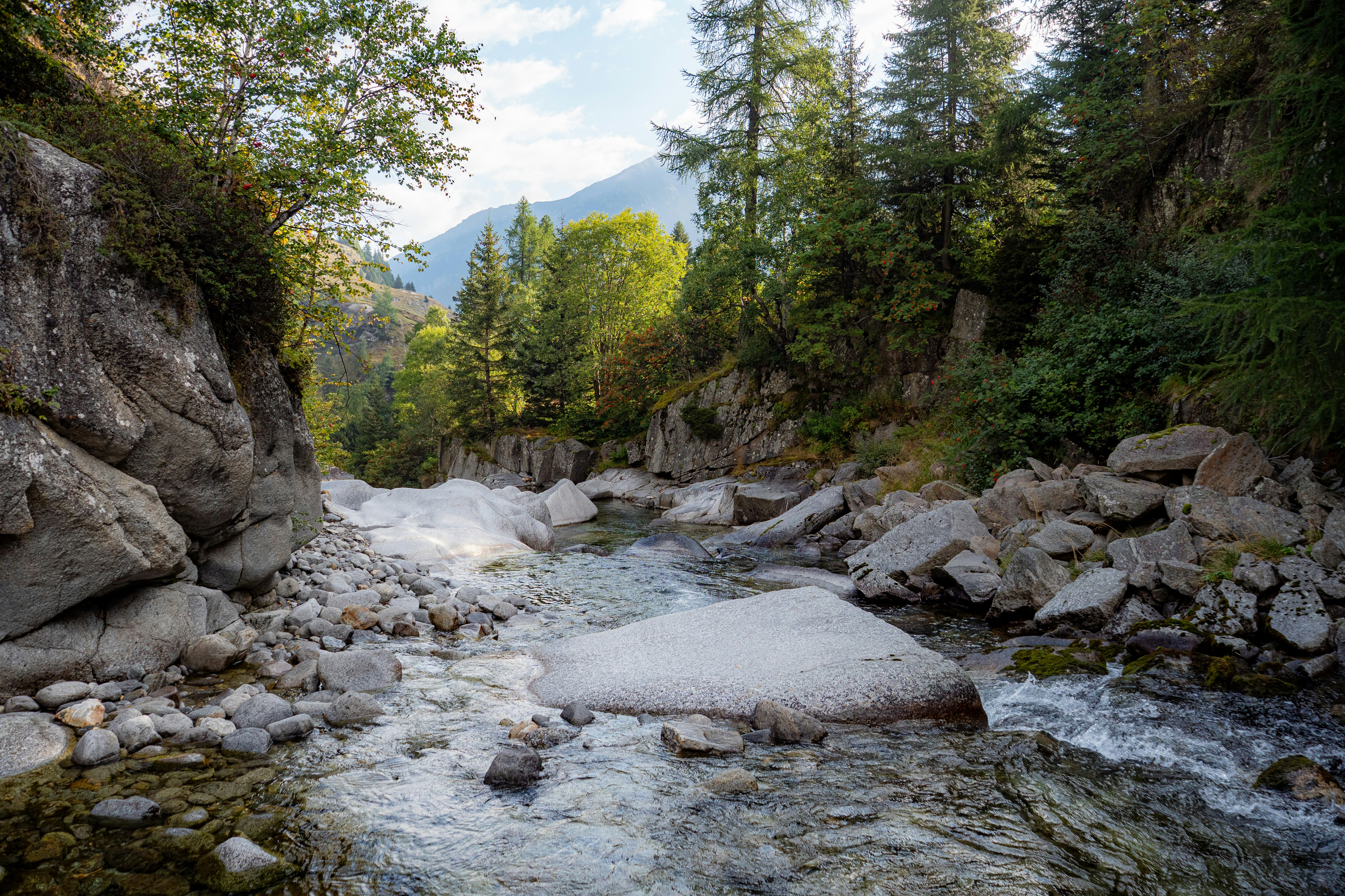 Photo by jackwhite2803