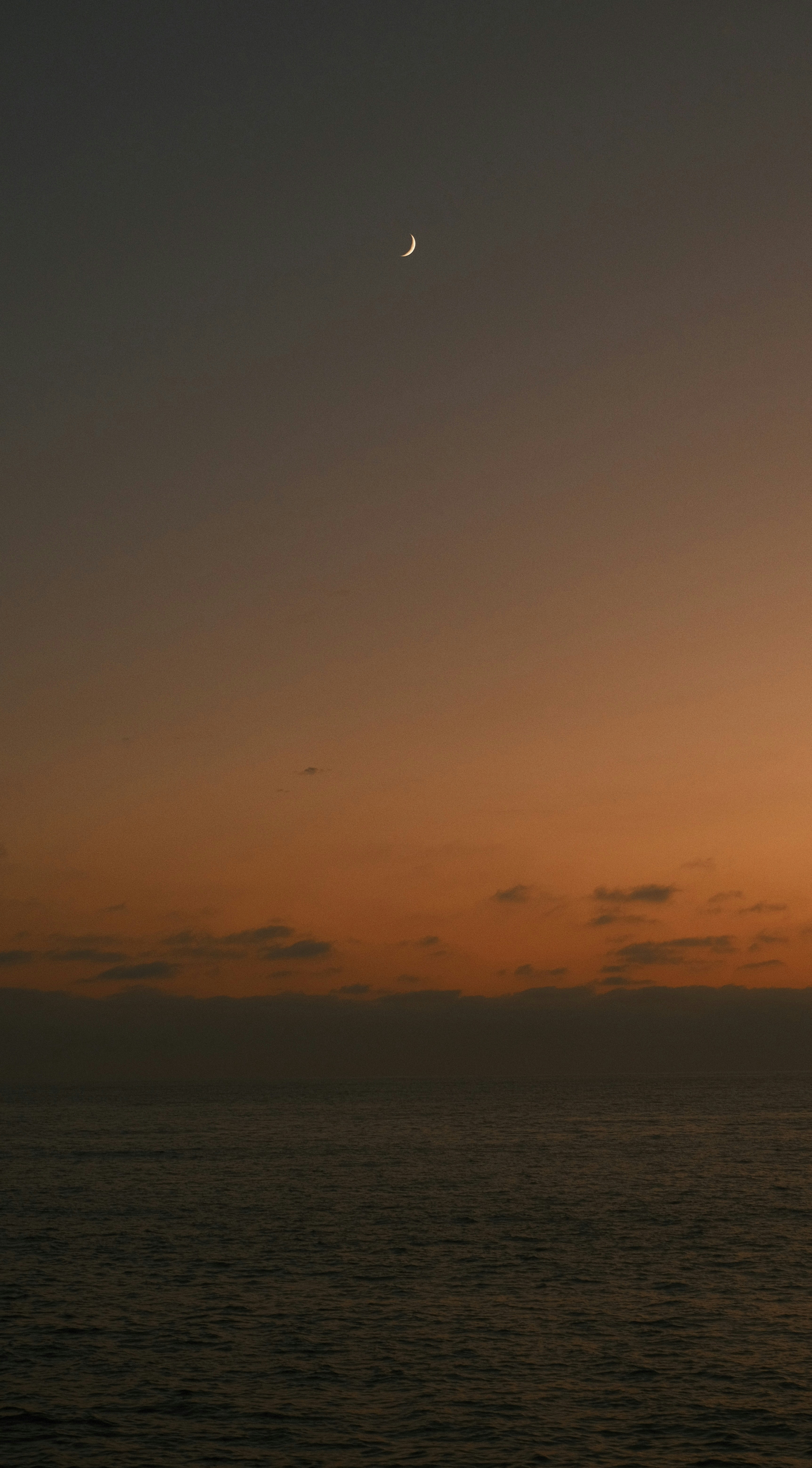 San Diego – Budgeting & Cost Expectations