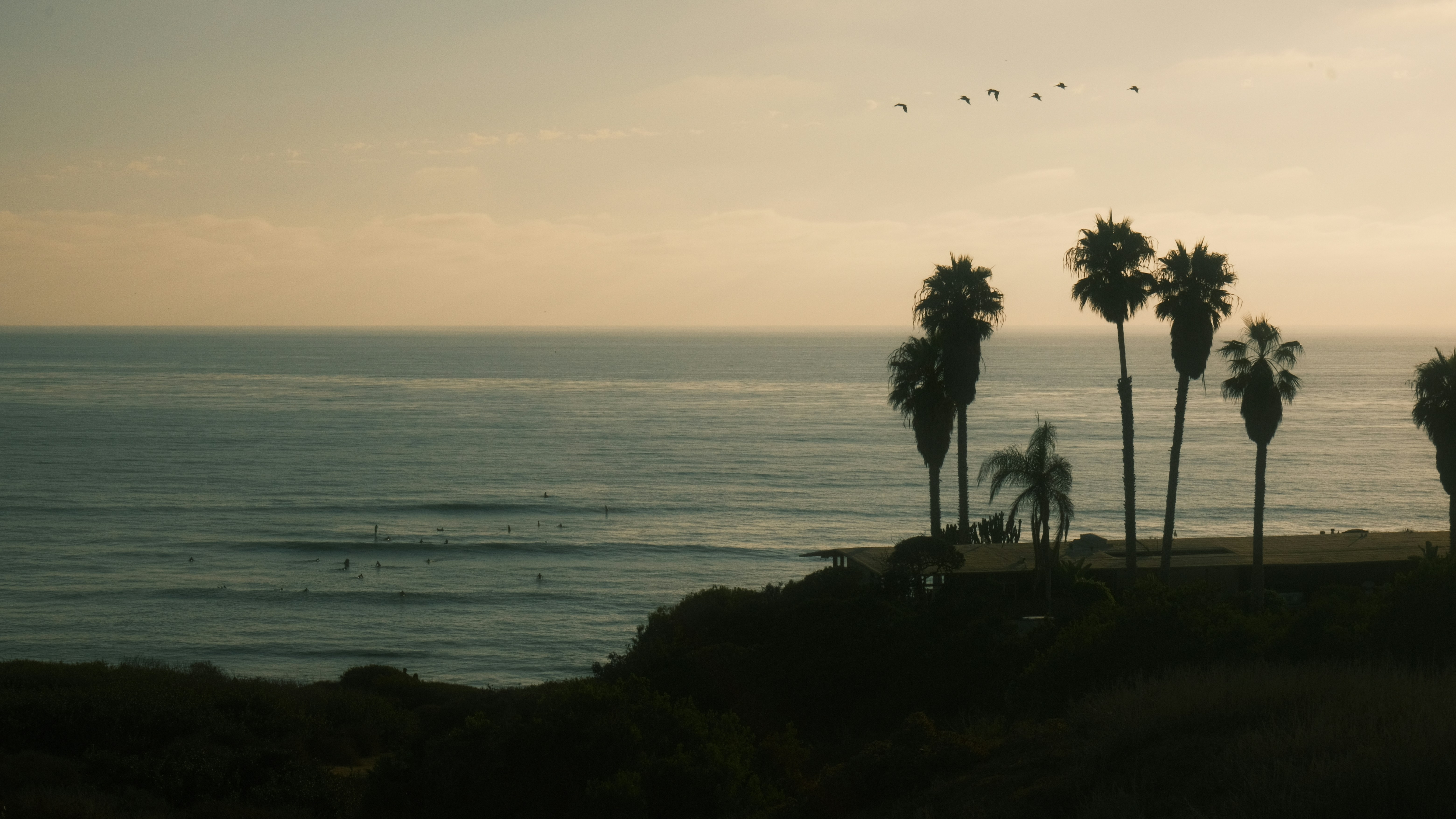 Photo by marius241001