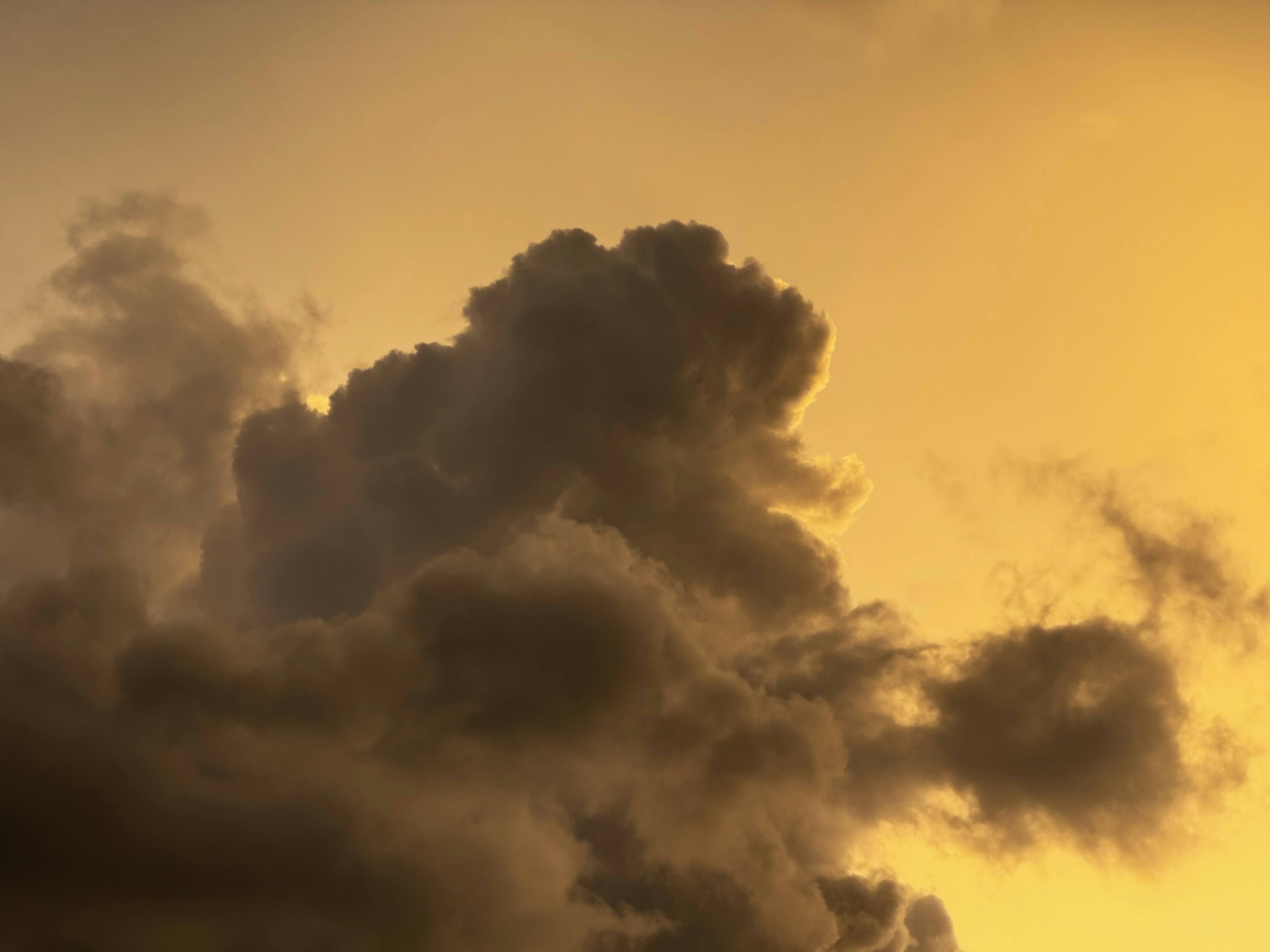 Photo by pineapplexpizza