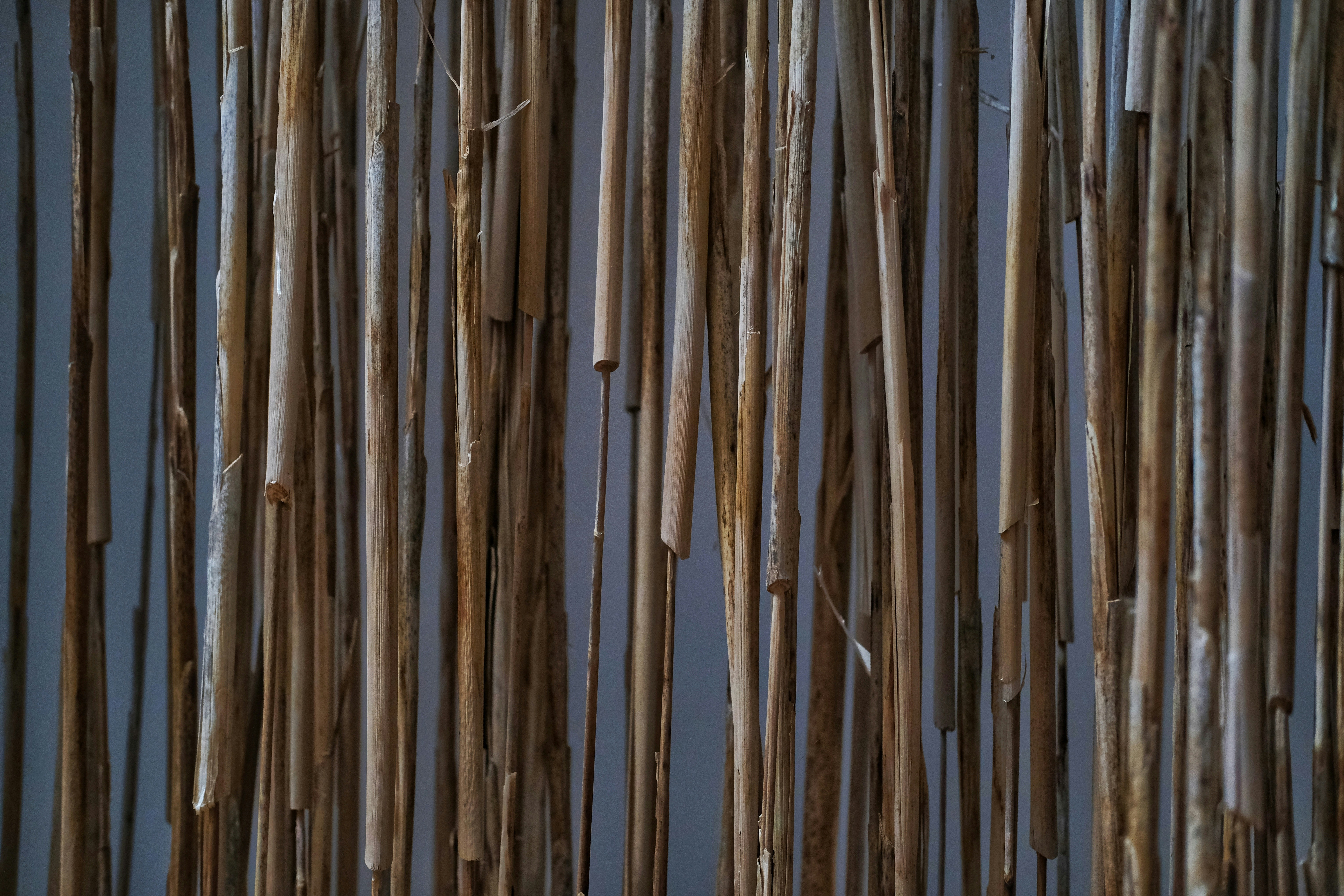 Photo by x8invisible