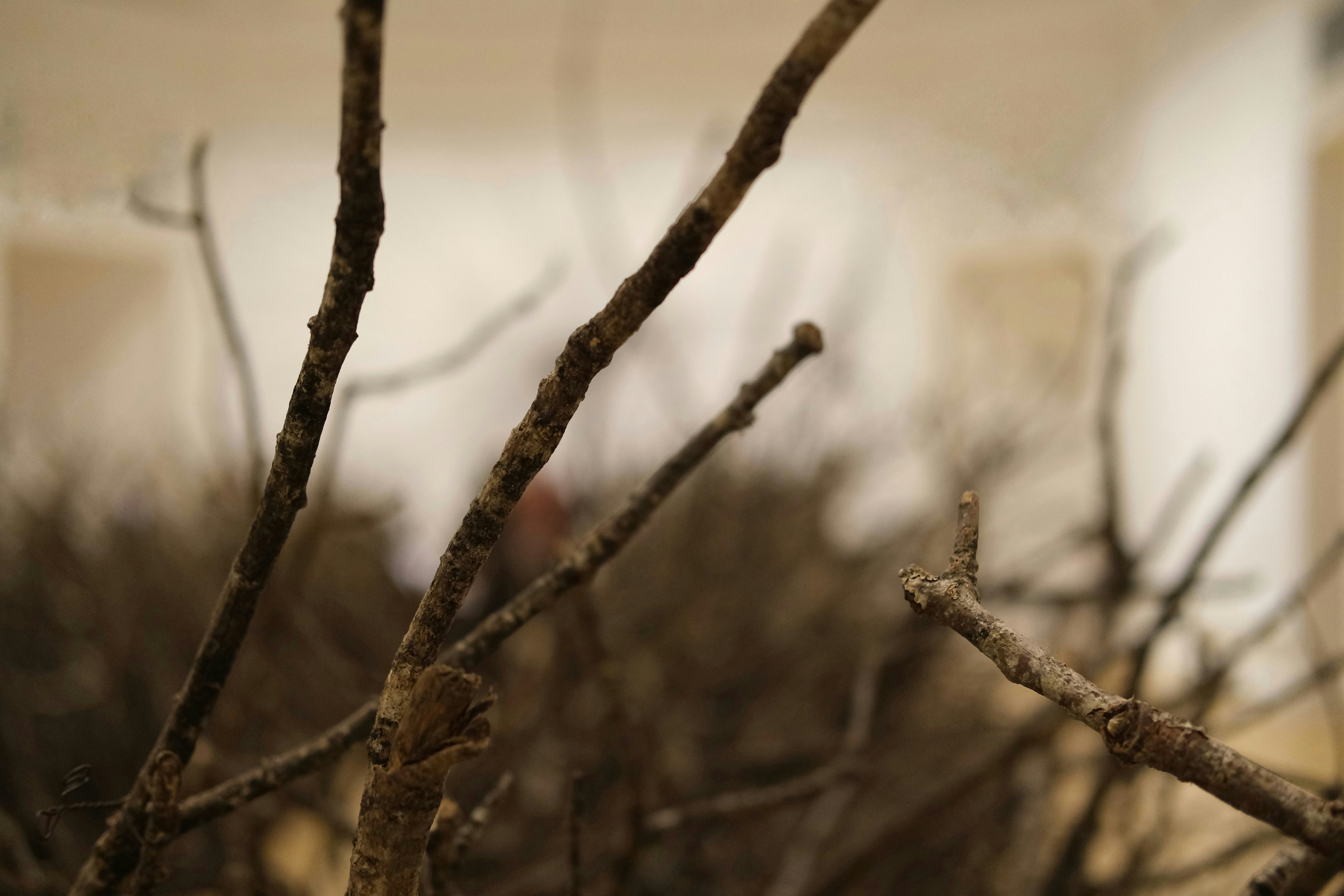 Photo by x8invisible