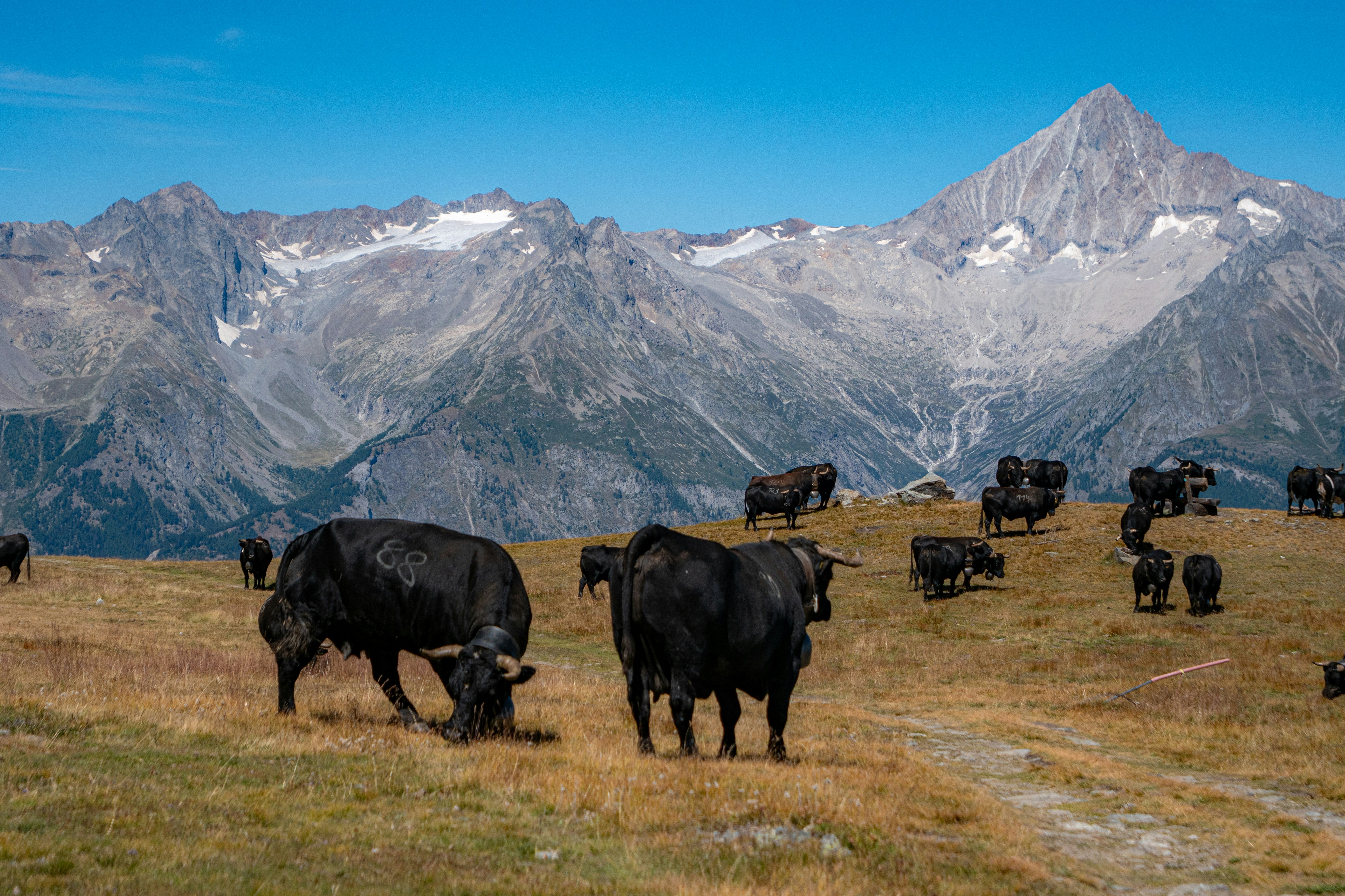 Photo by jackwhite2803