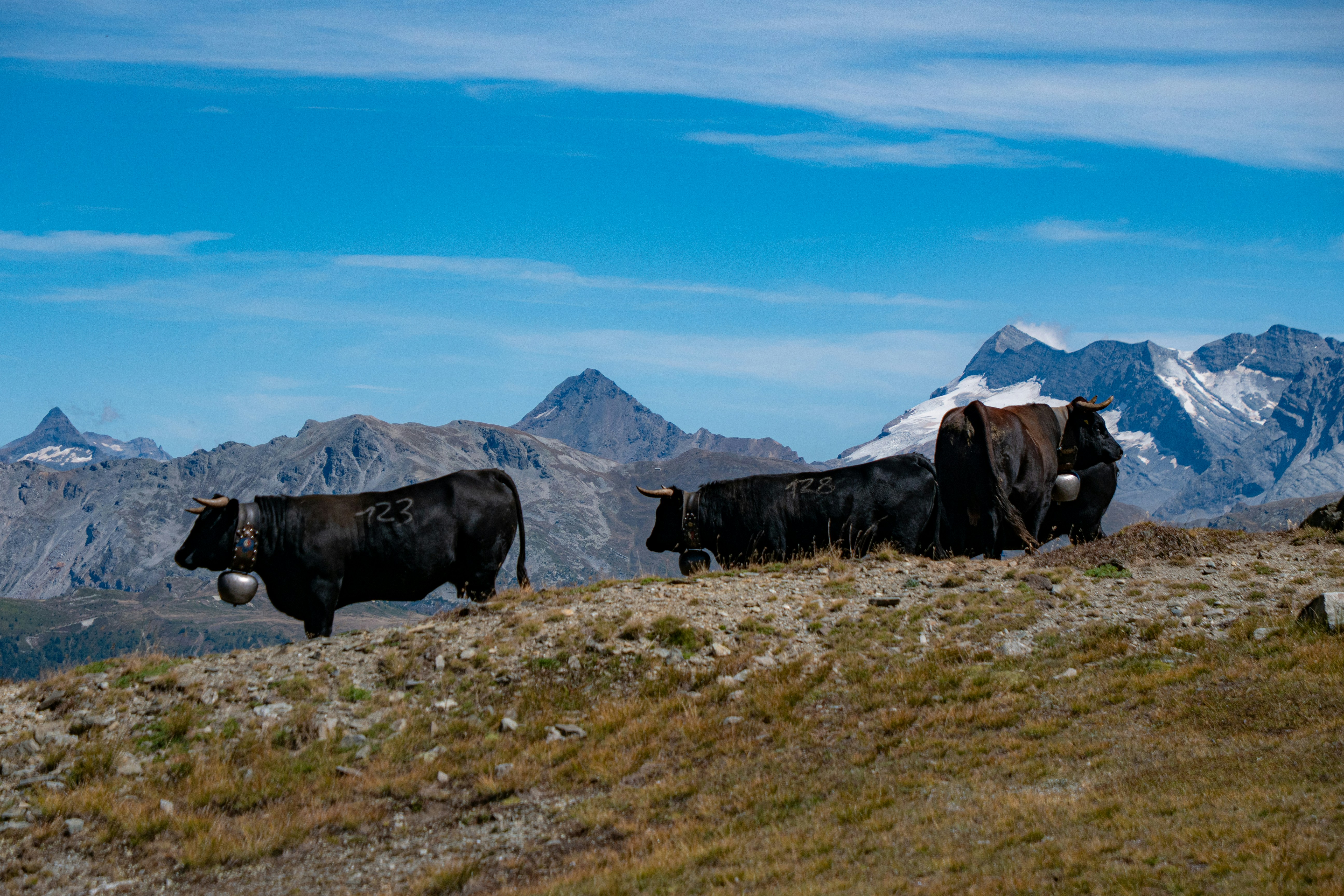 Photo by jackwhite2803