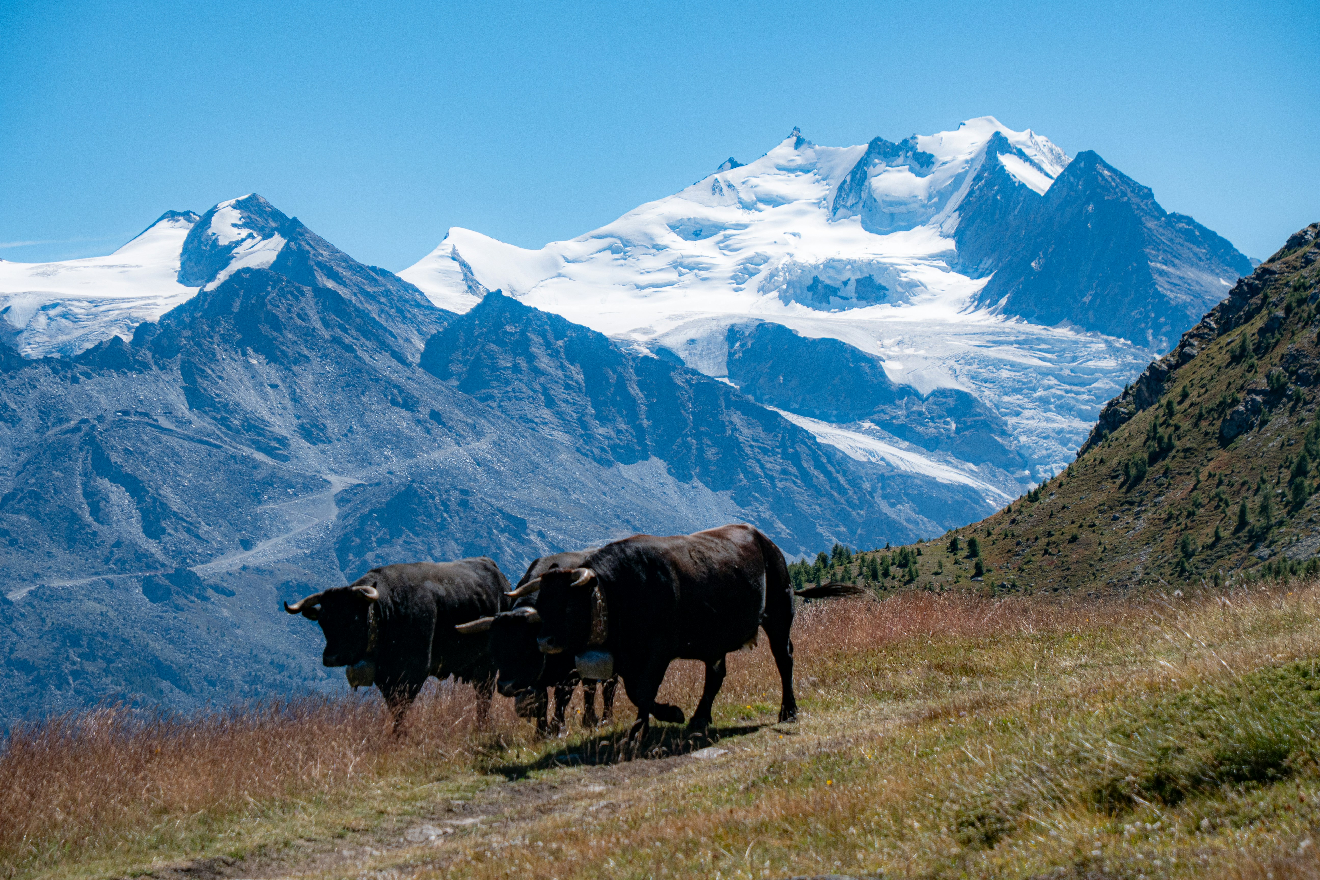 Photo by jackwhite2803