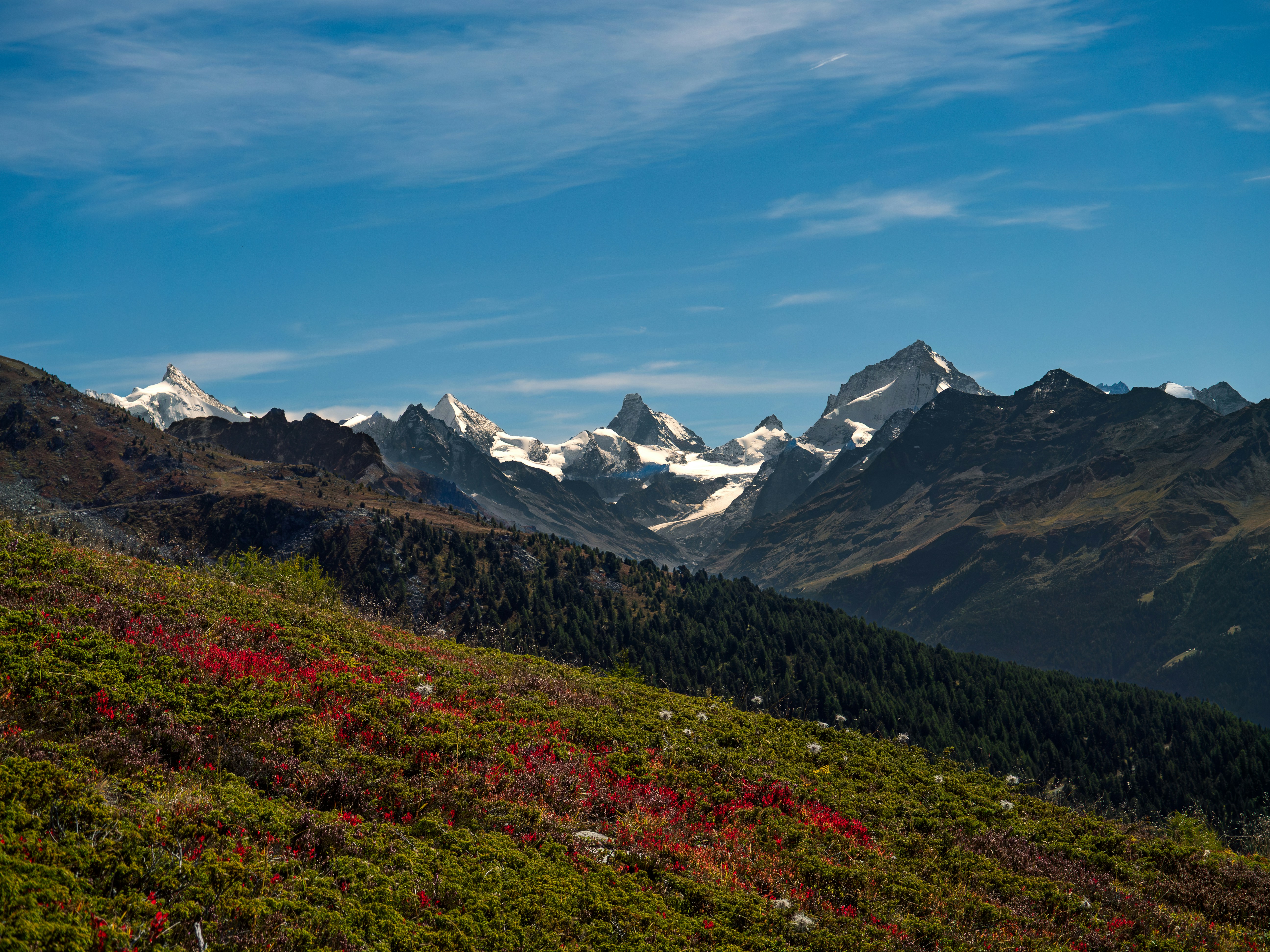 Photo by poli_graphy