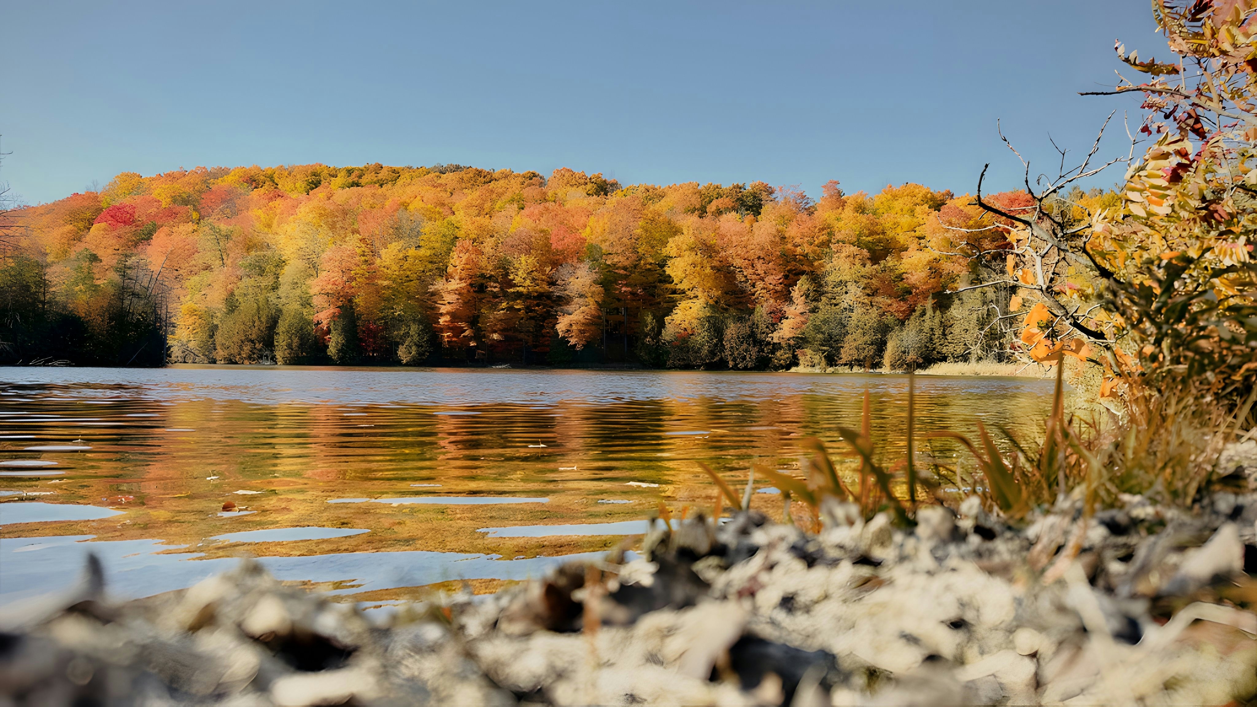 Photo by jameshaworth