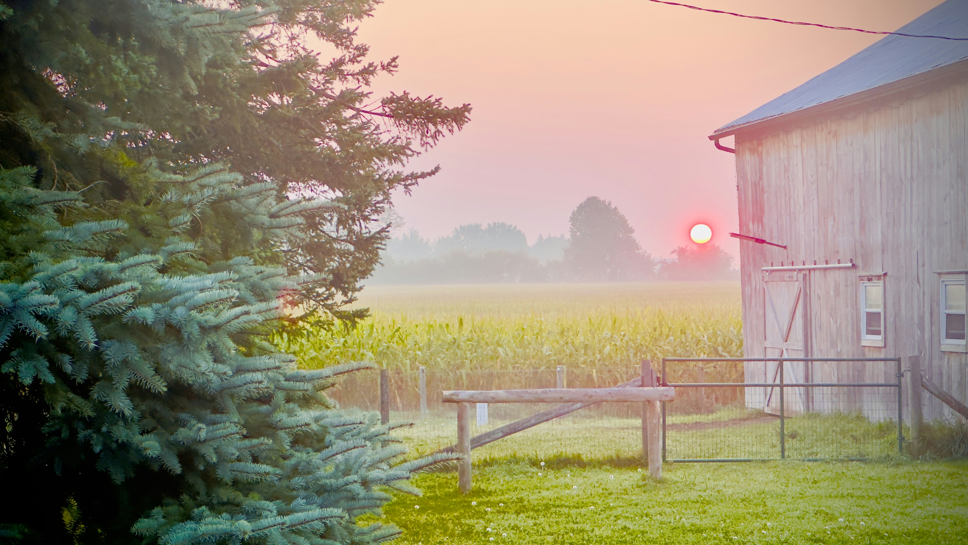 Sunrise over a misty farm field with barn.