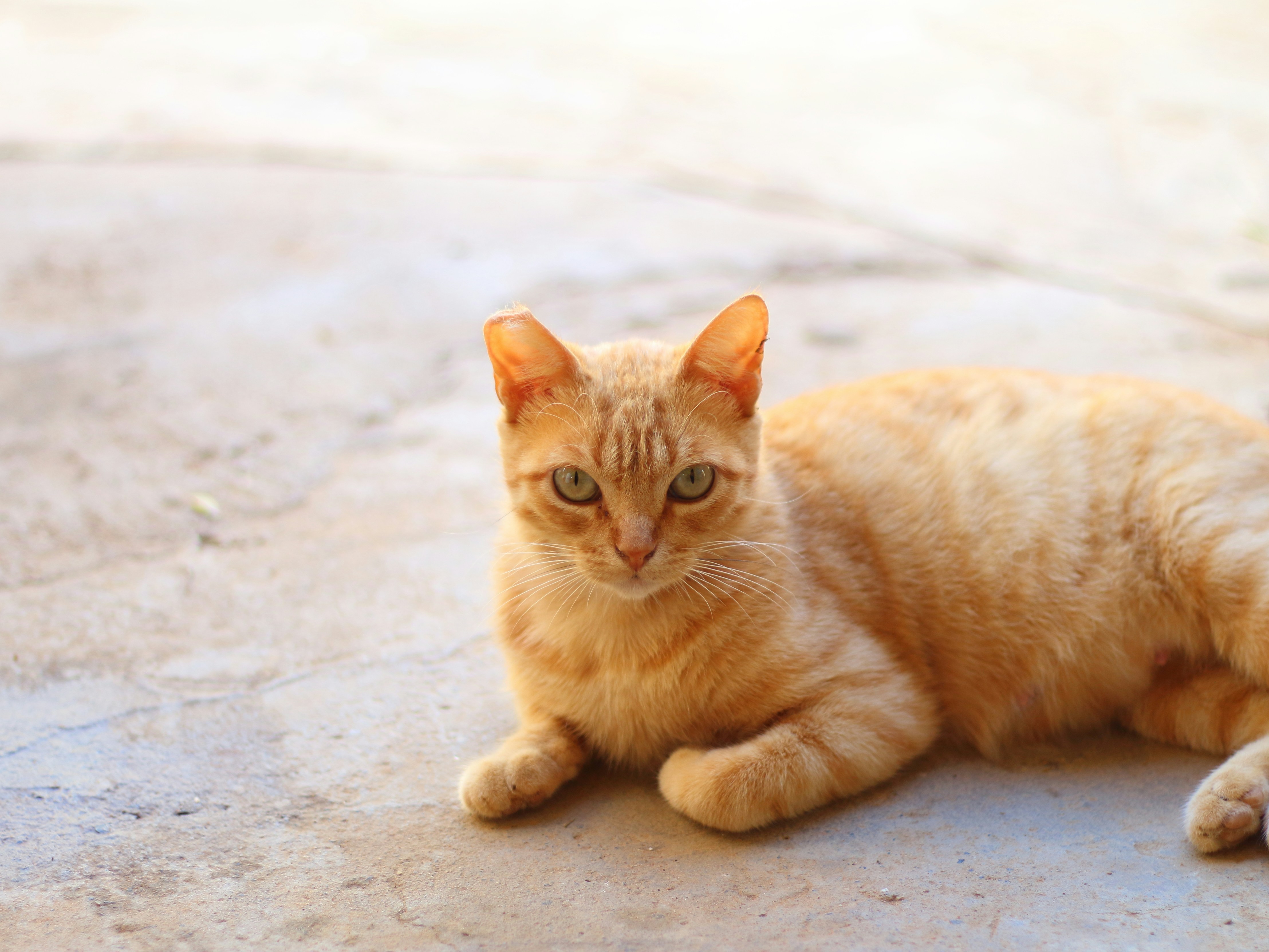 Photo by folhasobreagua