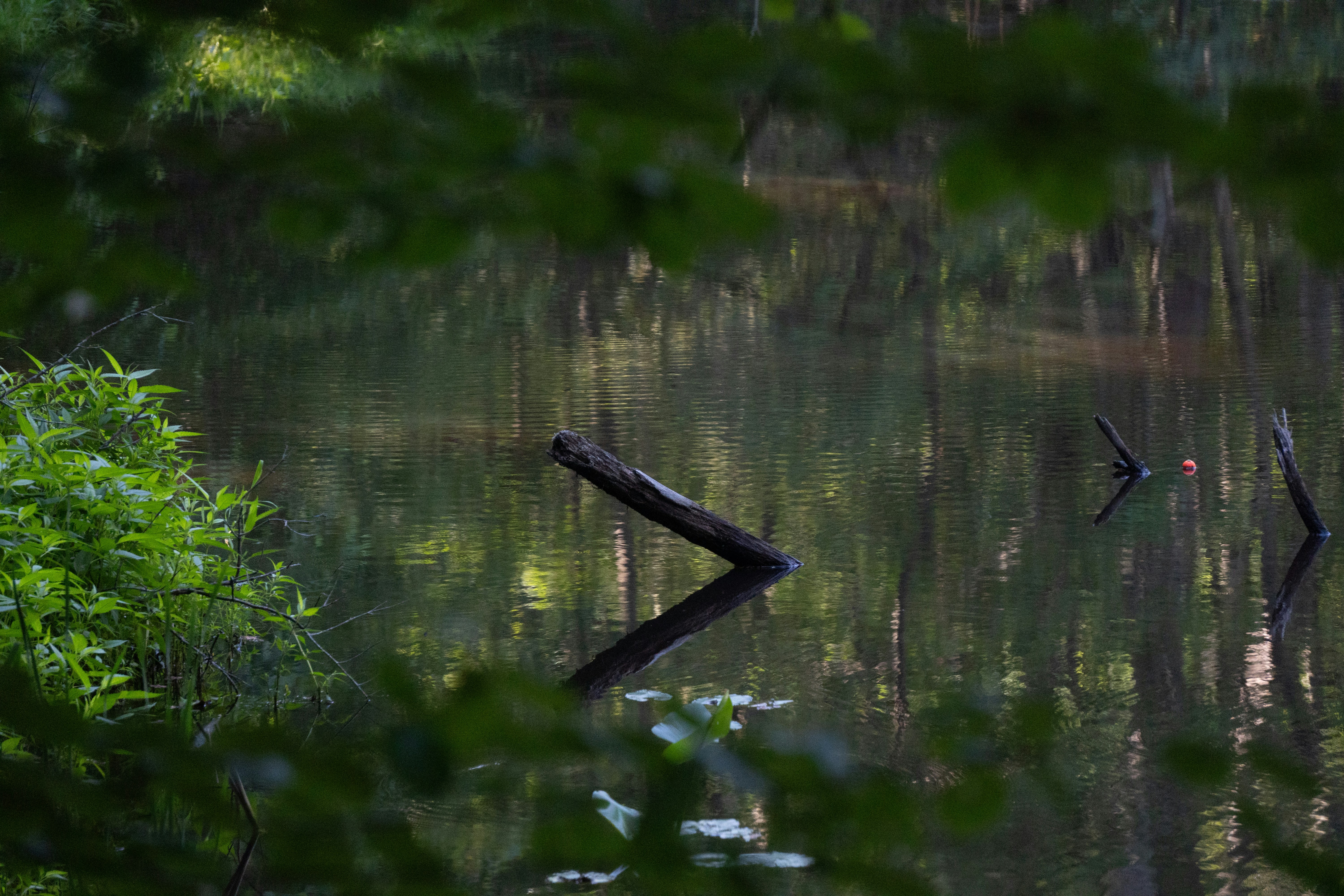 Photo by devanshb