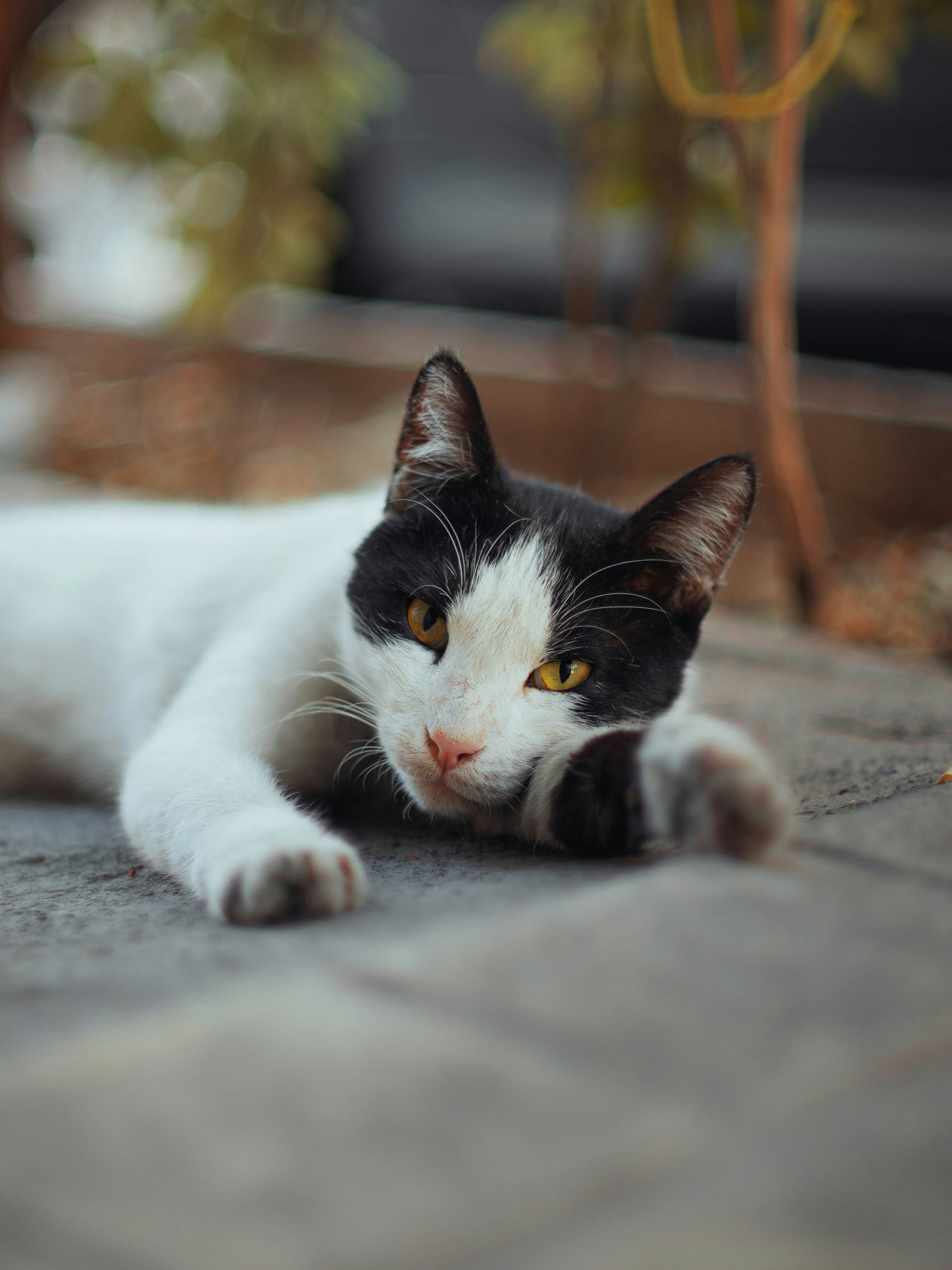 Photo by mrcharkhgard