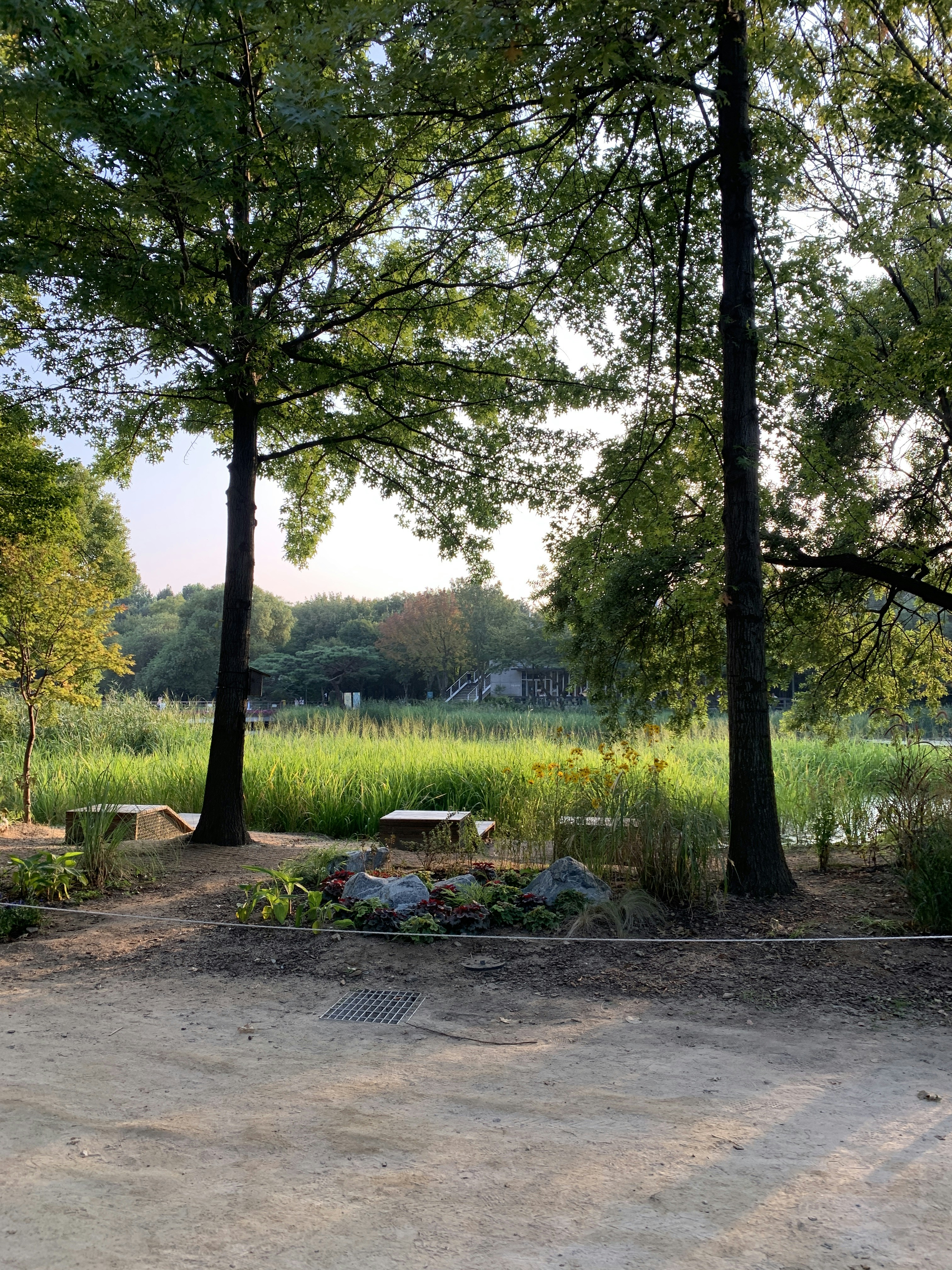 marshland landscape wallpaper, wallpaper, Keep Feet Dry: Marshland Survival Guide 4