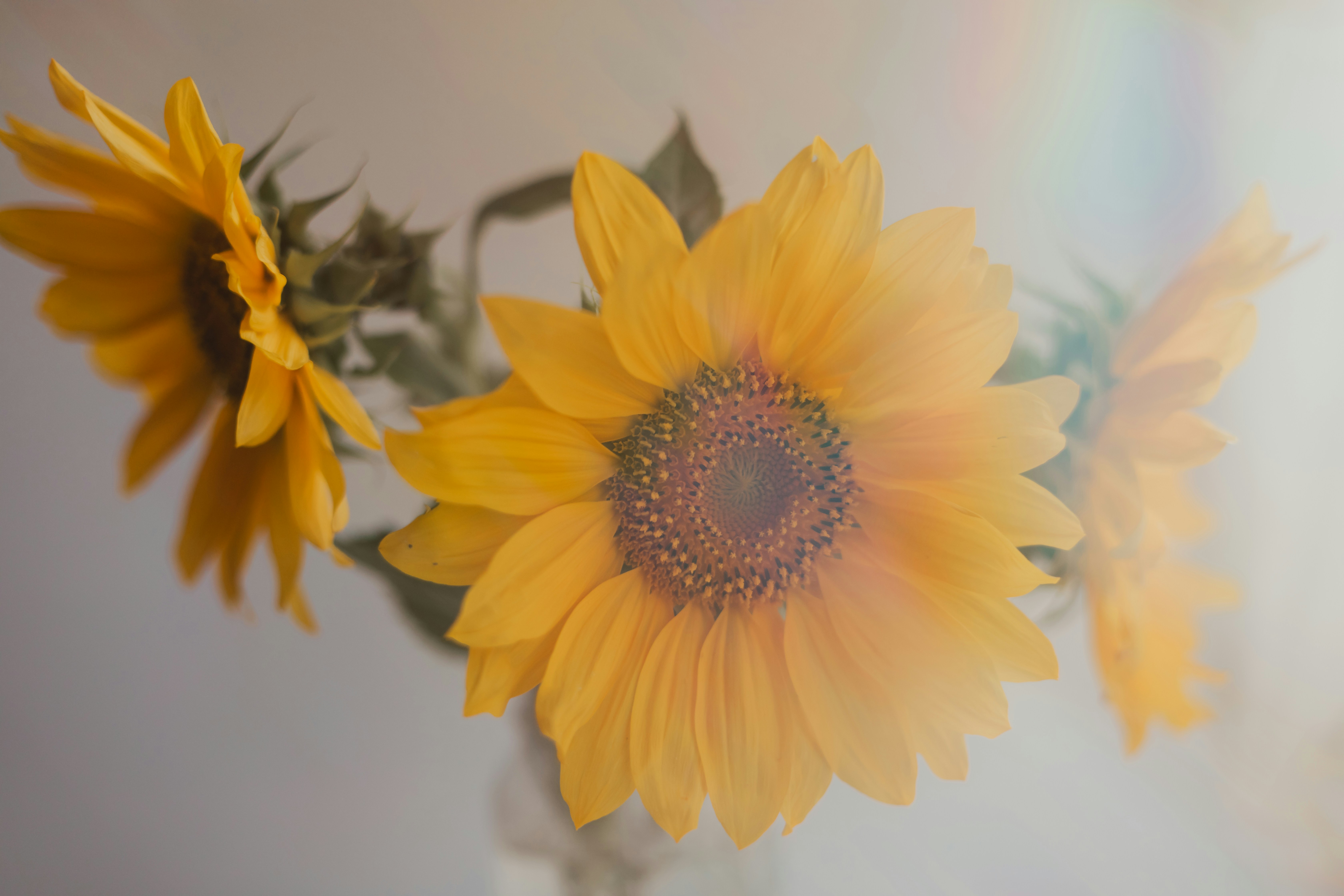 Photo by sixteenmilesout