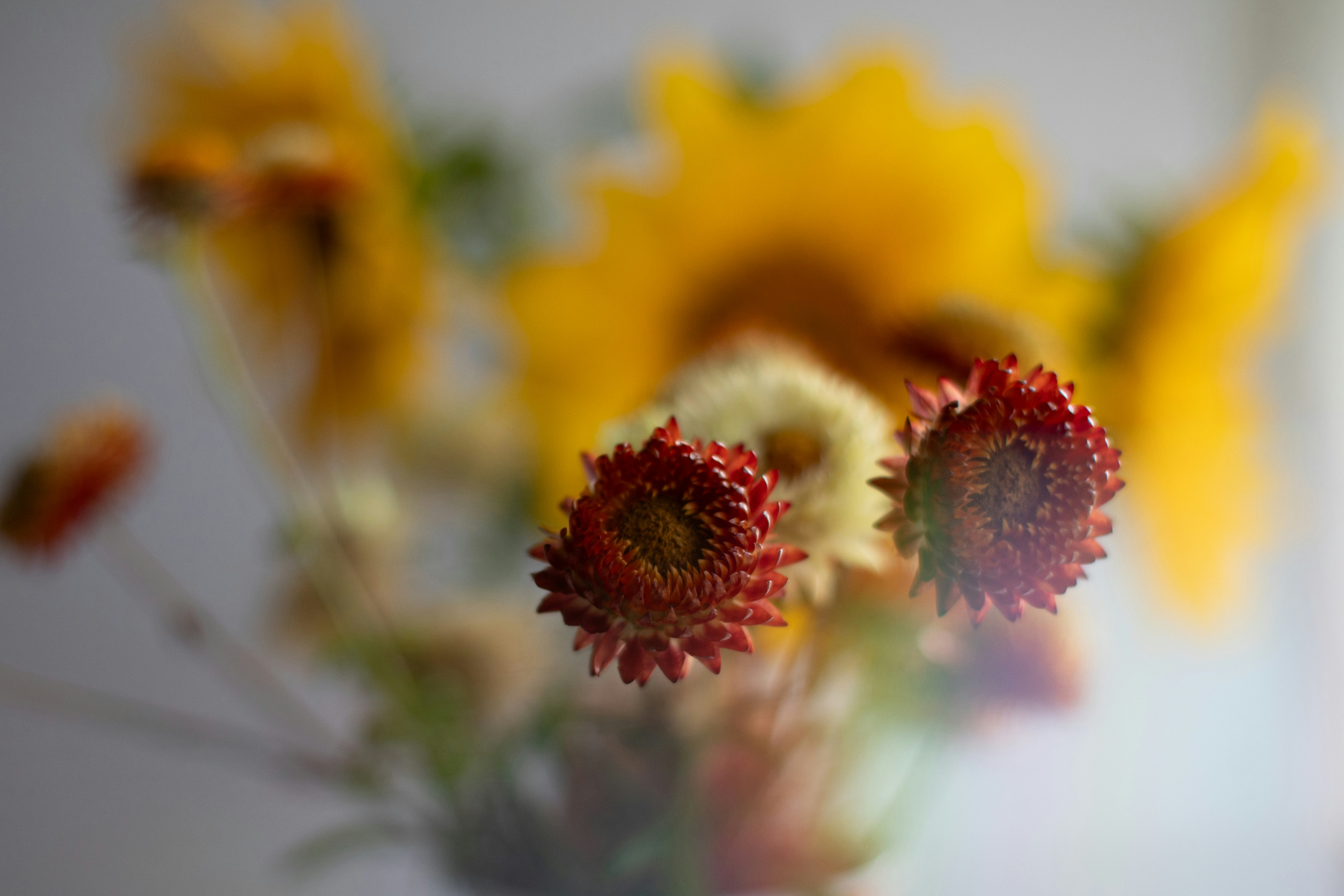 Photo by sixteenmilesout