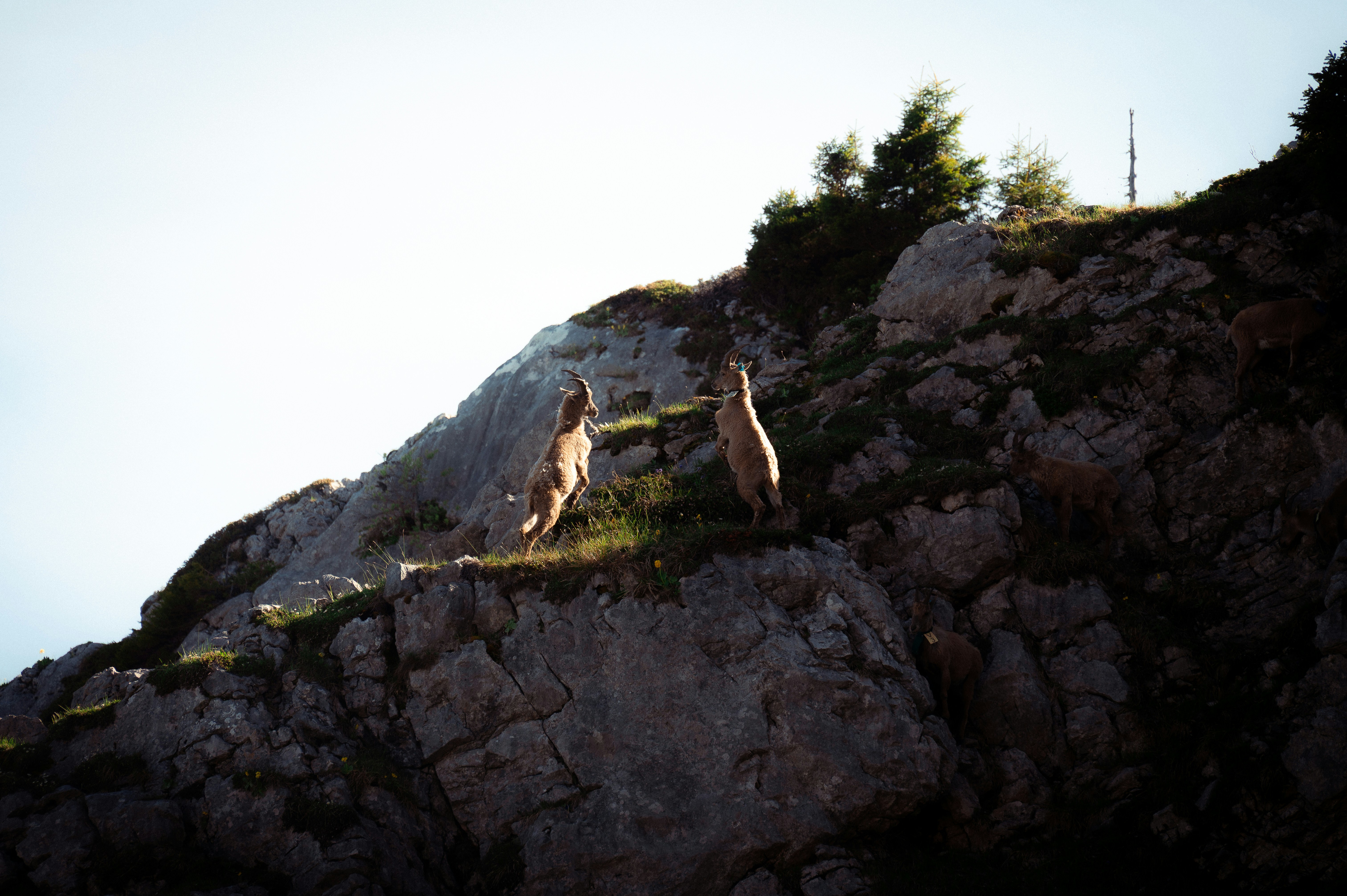 Photo by gabincobret