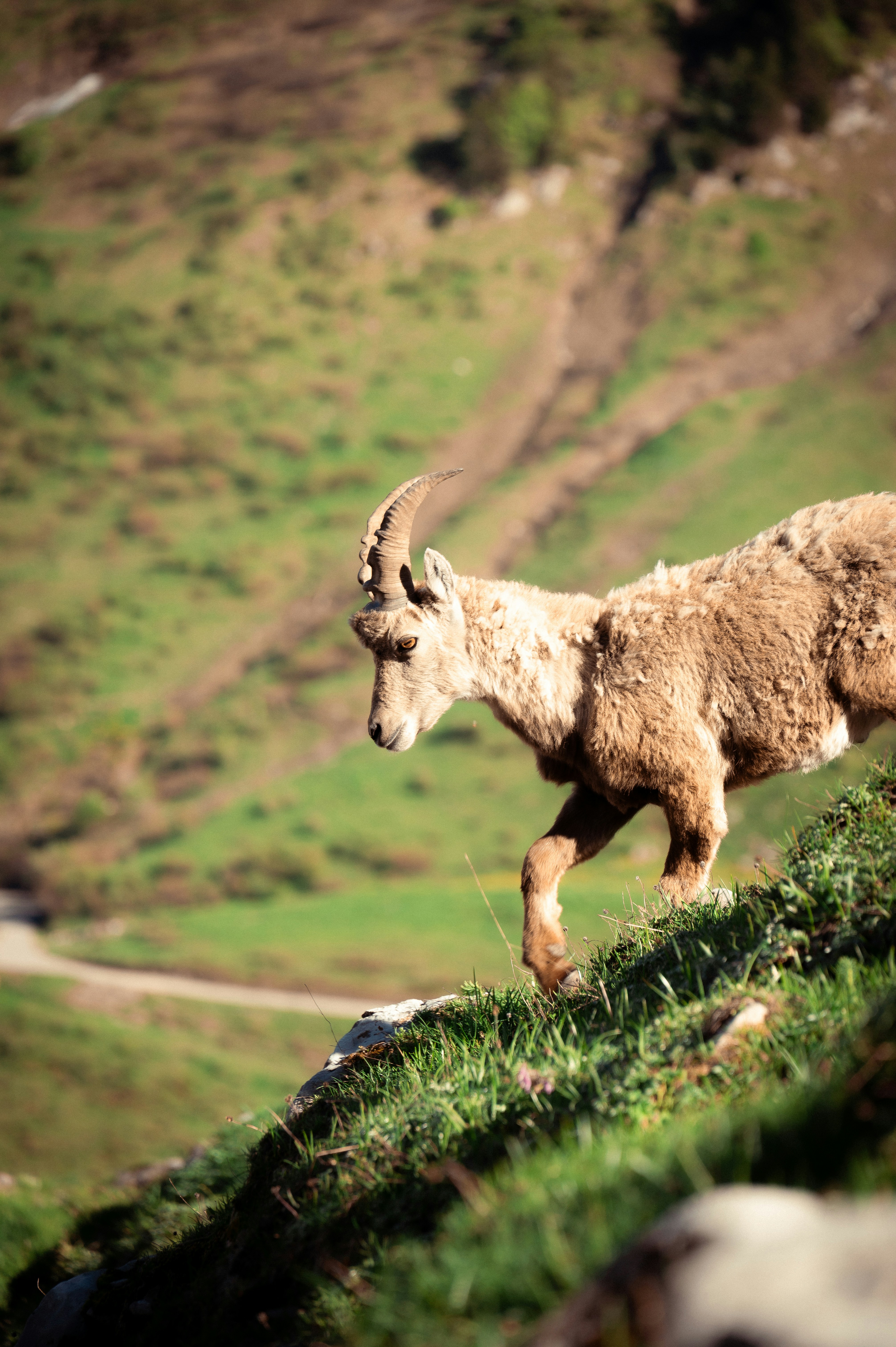 Photo by gabincobret