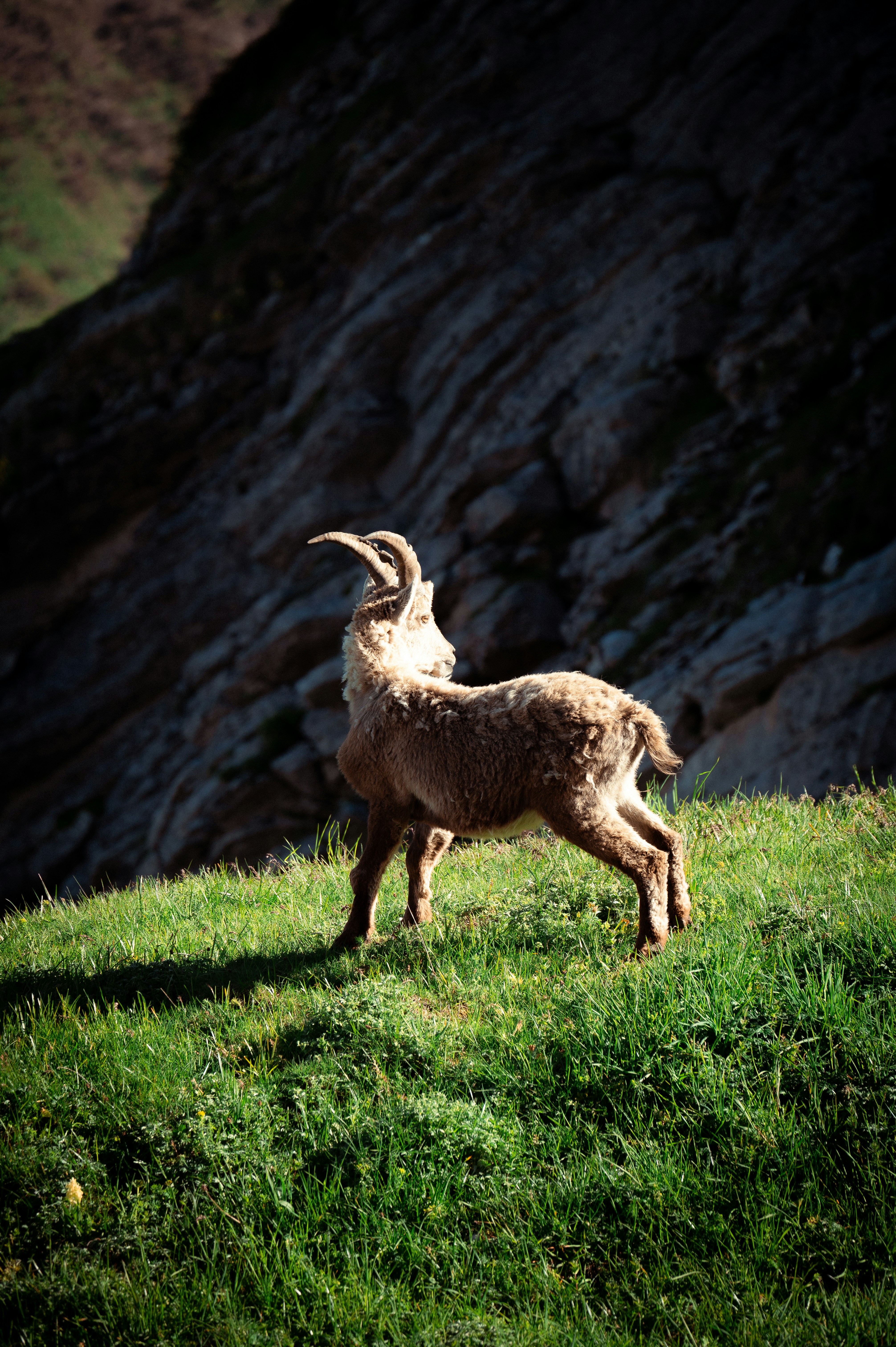 Photo by gabincobret