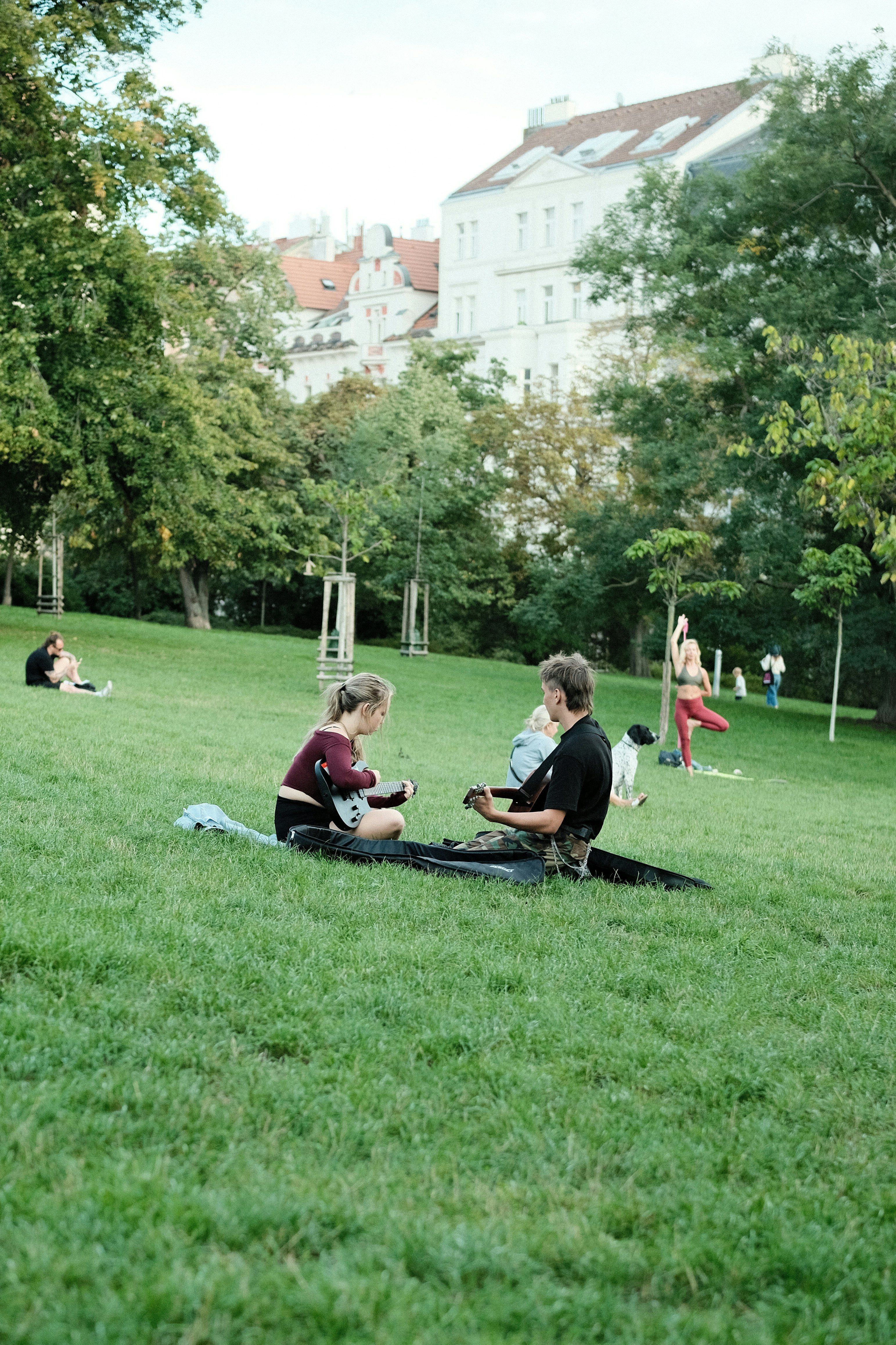 Couple plays ukuleles on grassy park lawn.