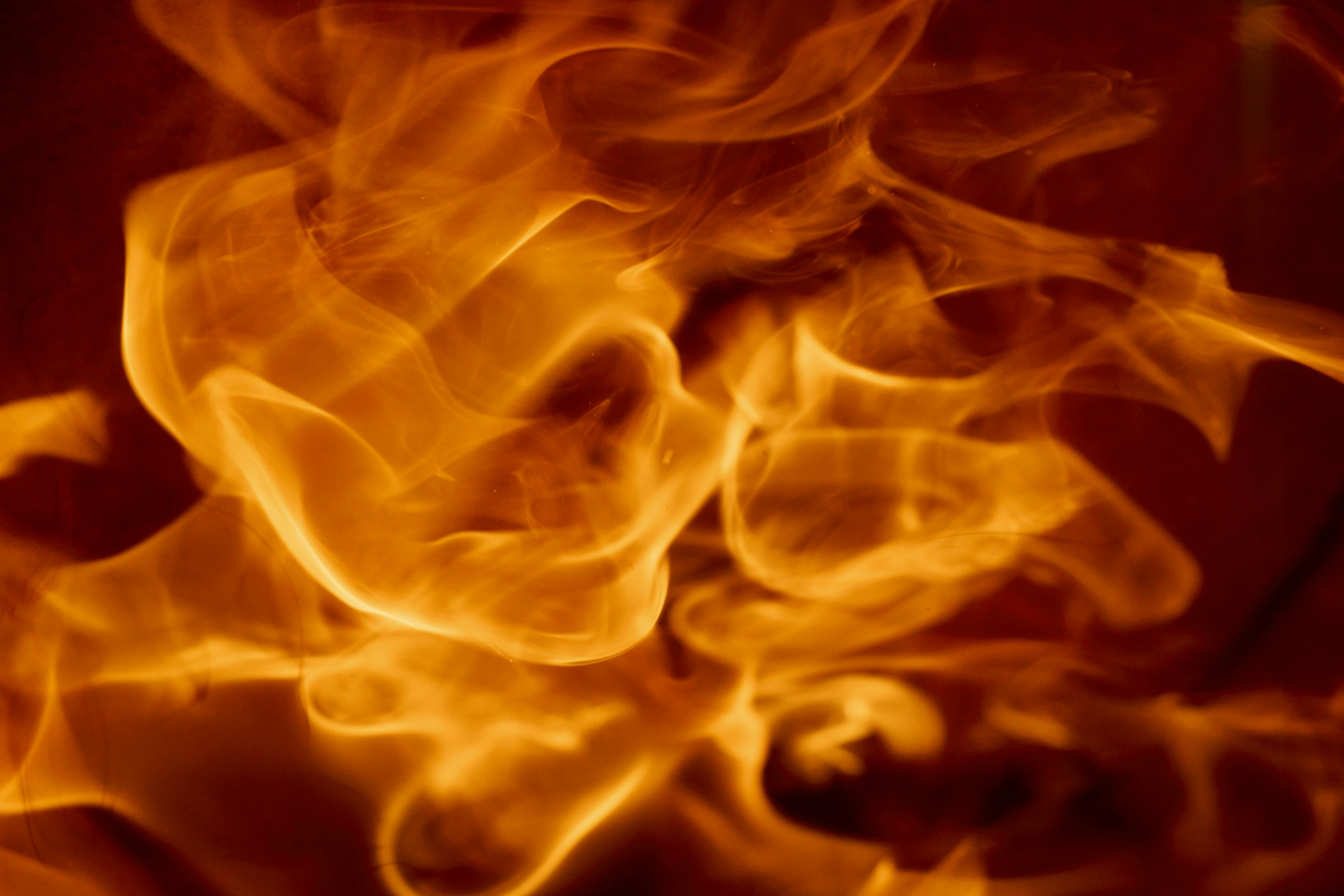 Photo by wolfgang_hasselmann