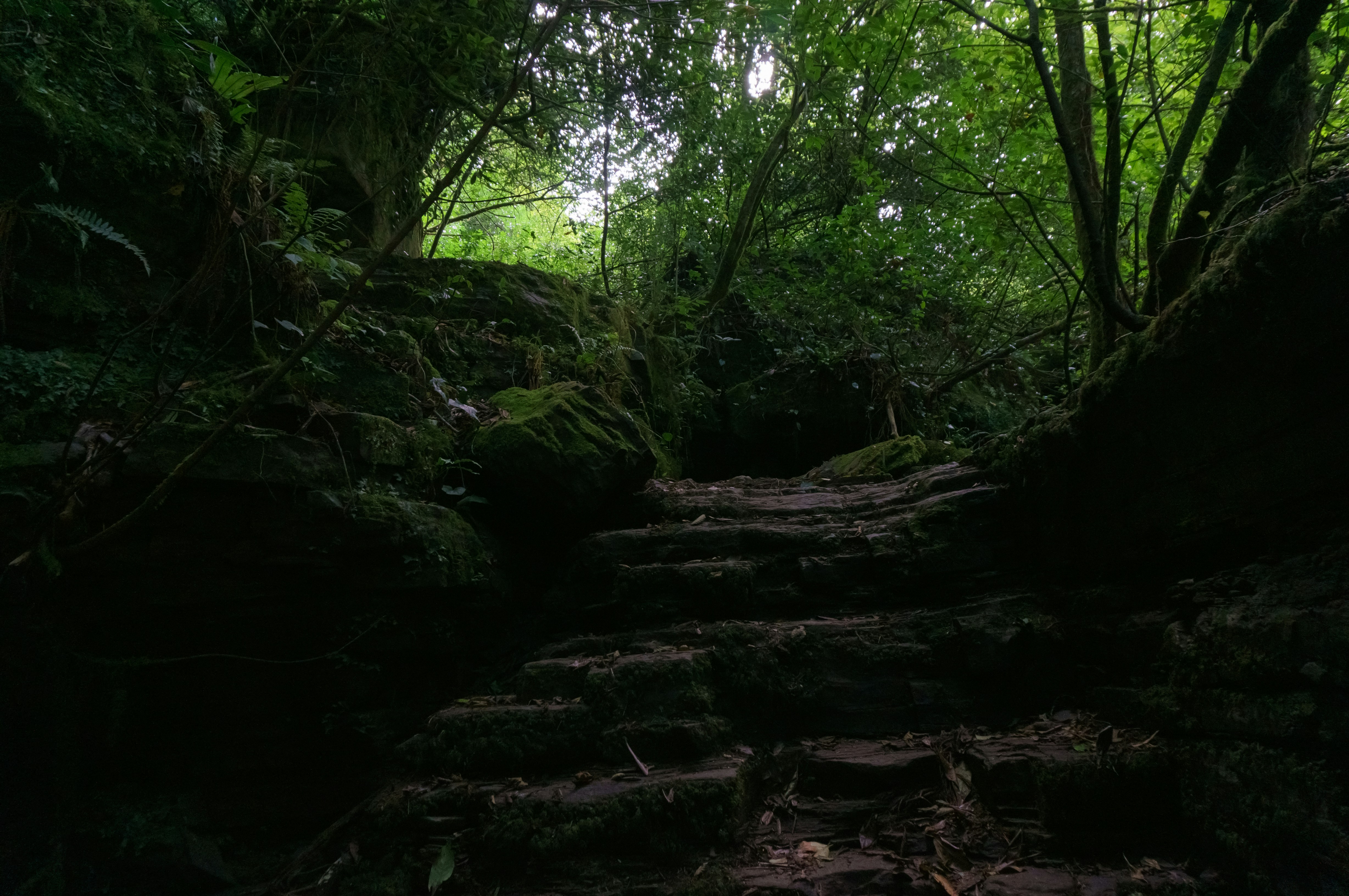 Photo by maksimzaviktorin