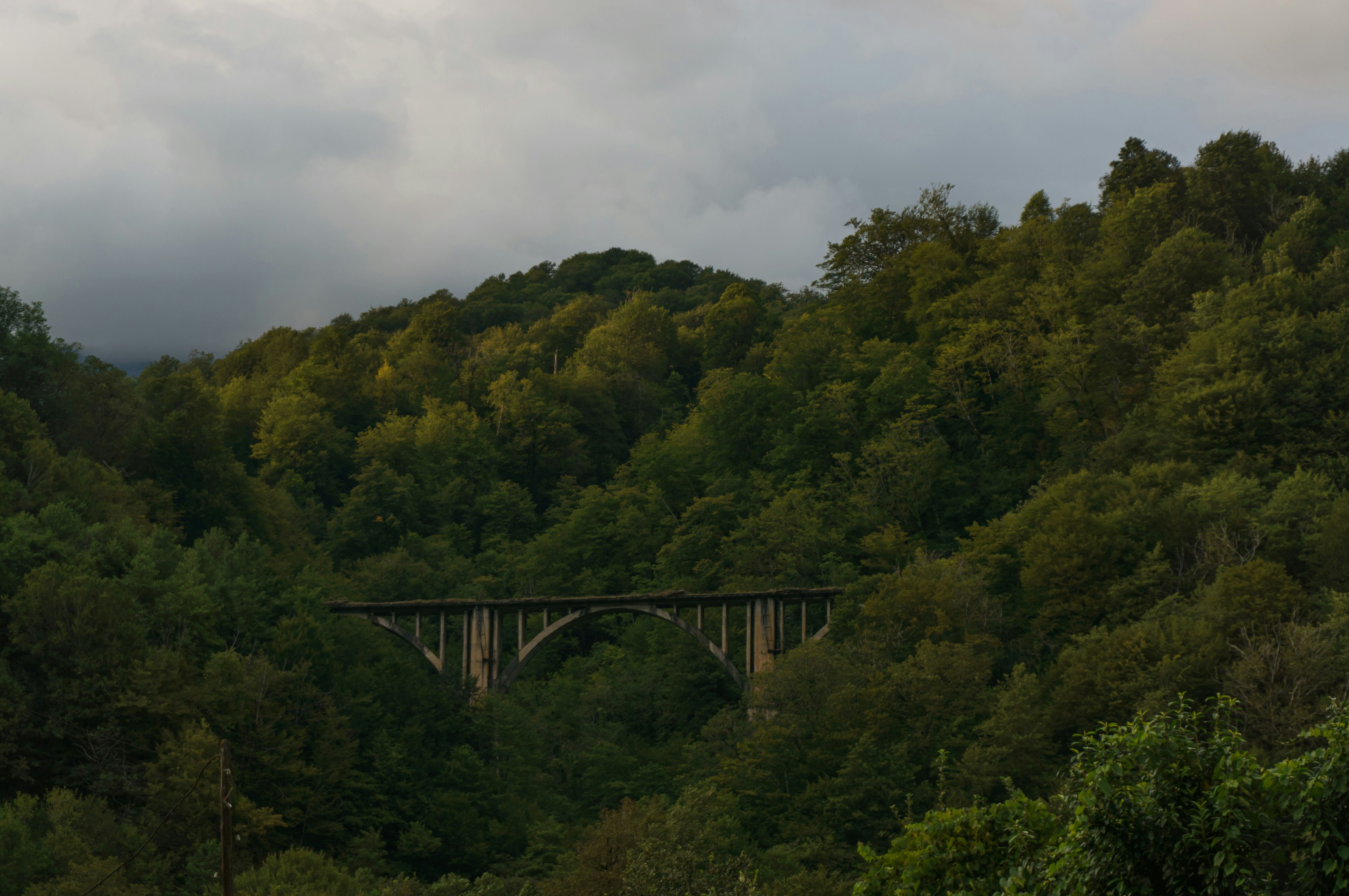 Photo by maksimzaviktorin