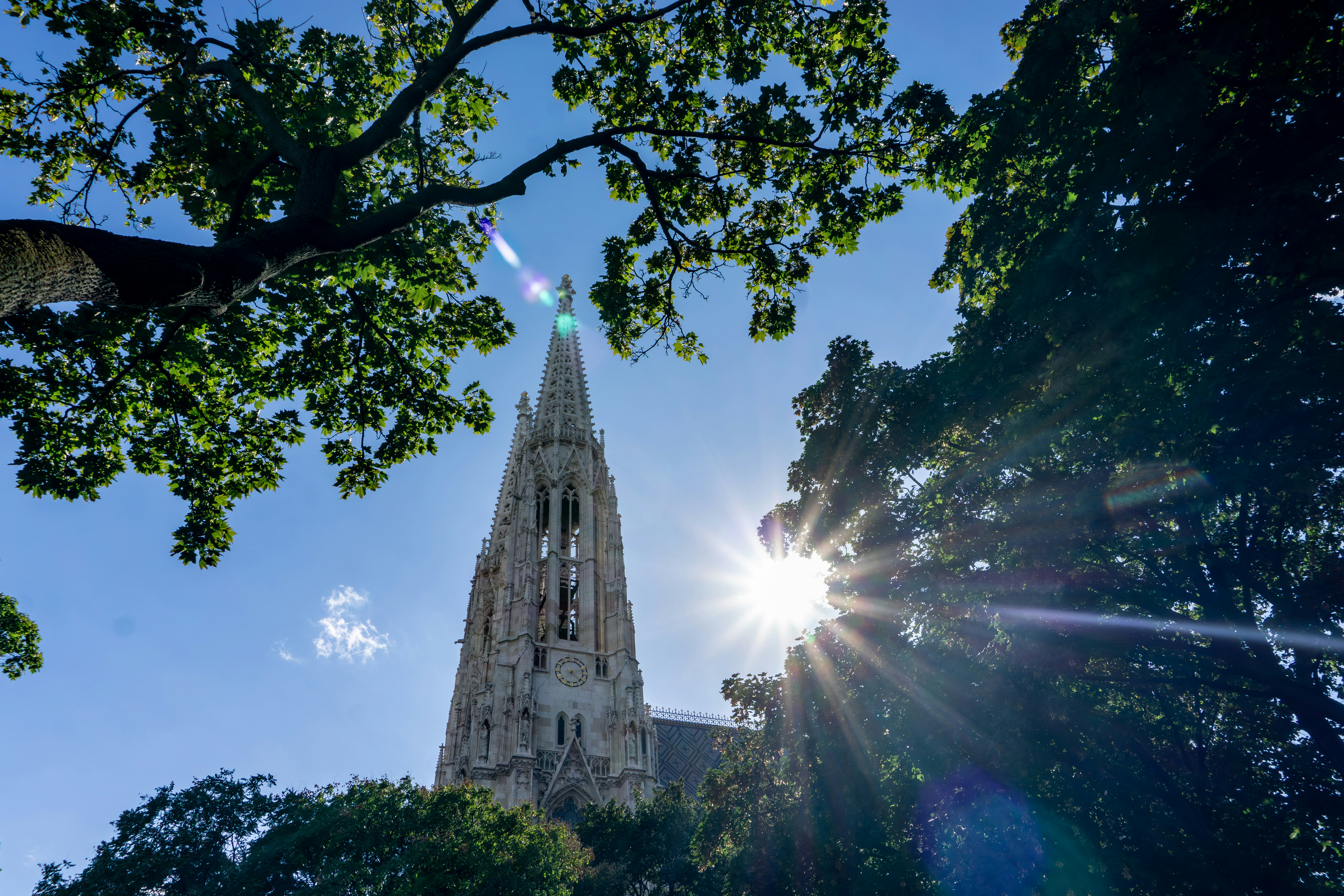 태양은 나무 사이로 높은 교회 첨탑을 비춥니다.