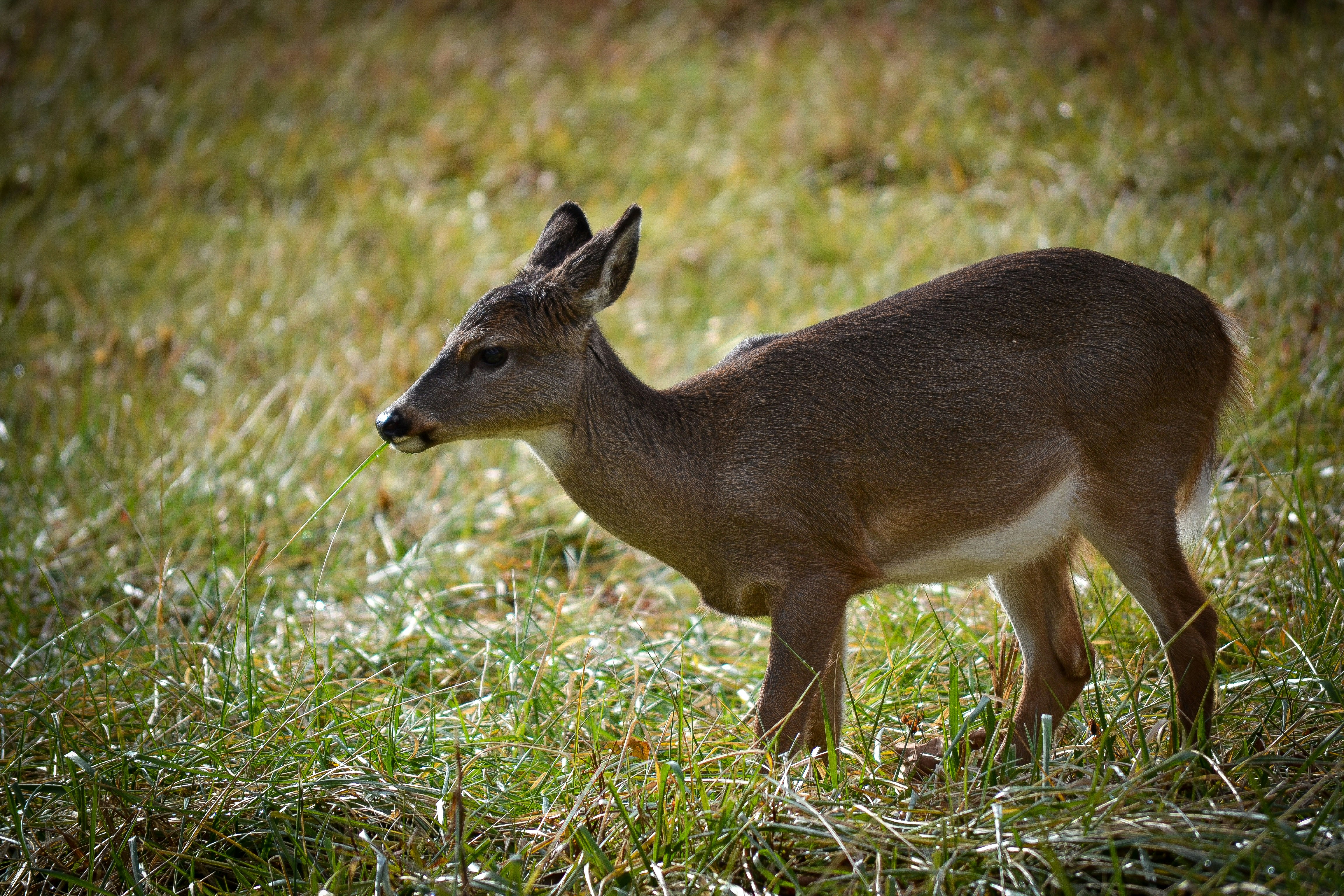 Photo by trailshutter