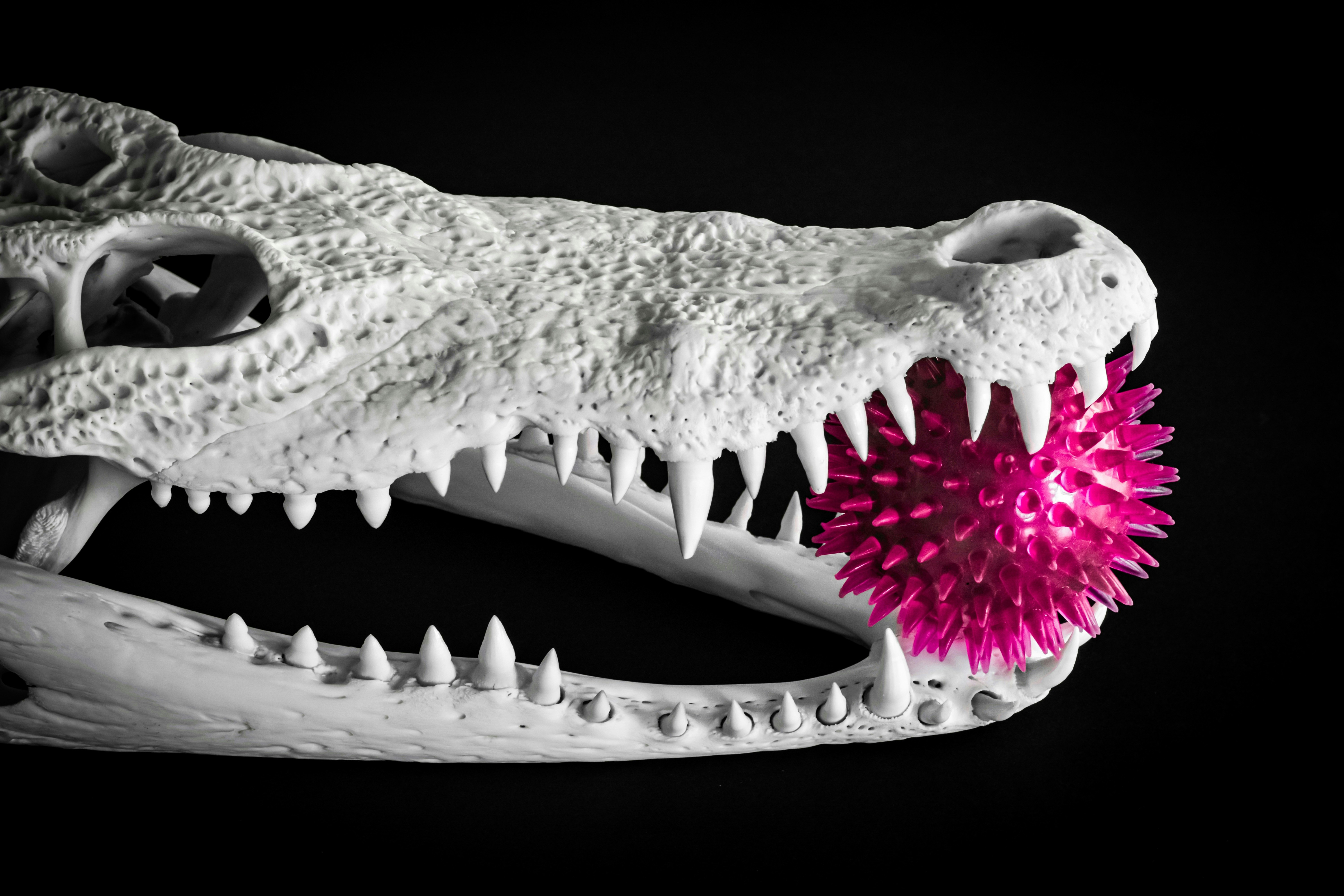 Photo by sschusterphotoart